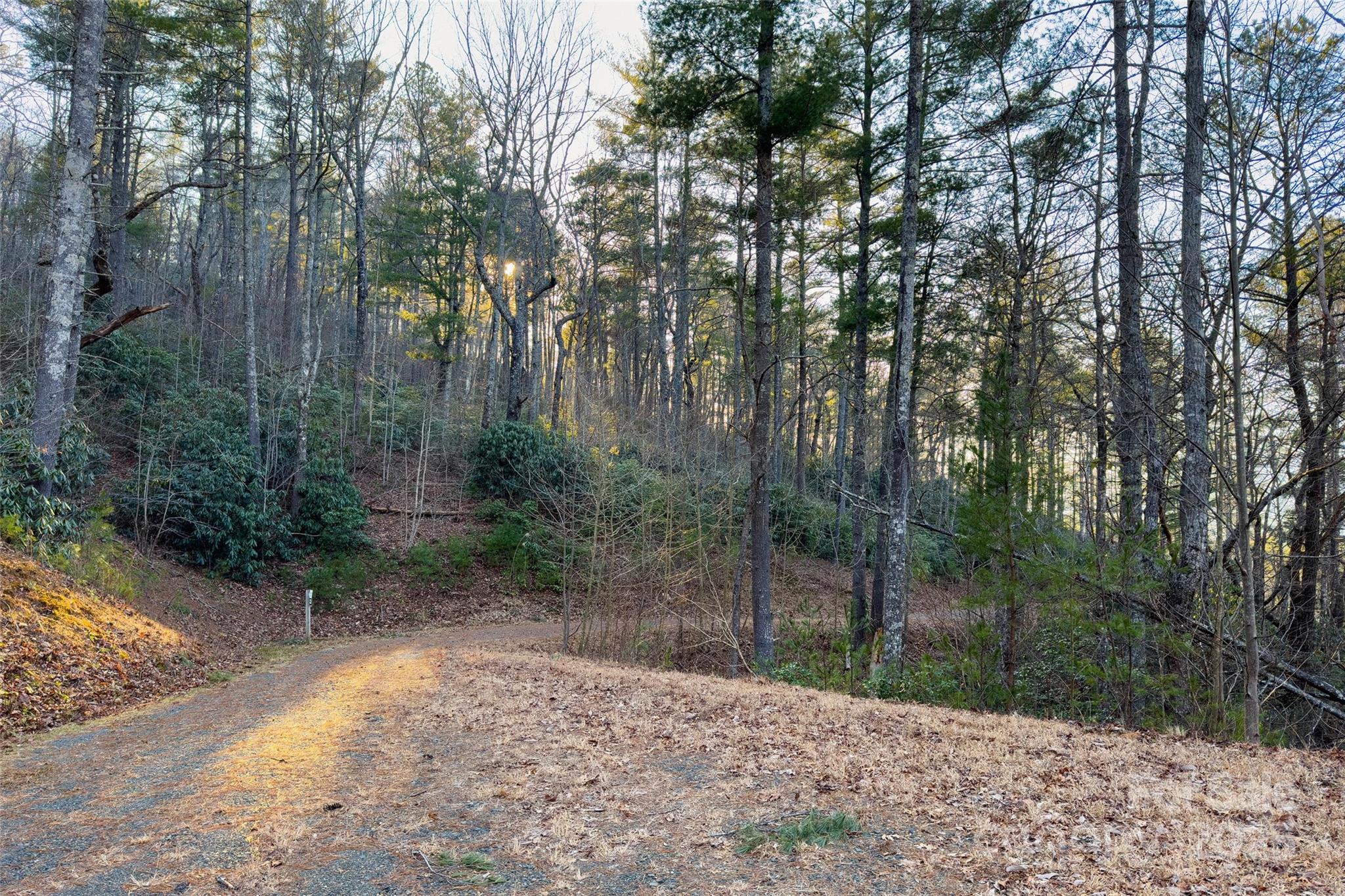 Fox Ridge - Land