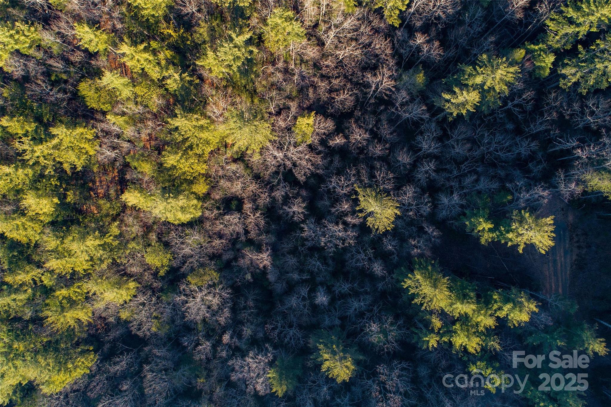Fox Ridge - Land