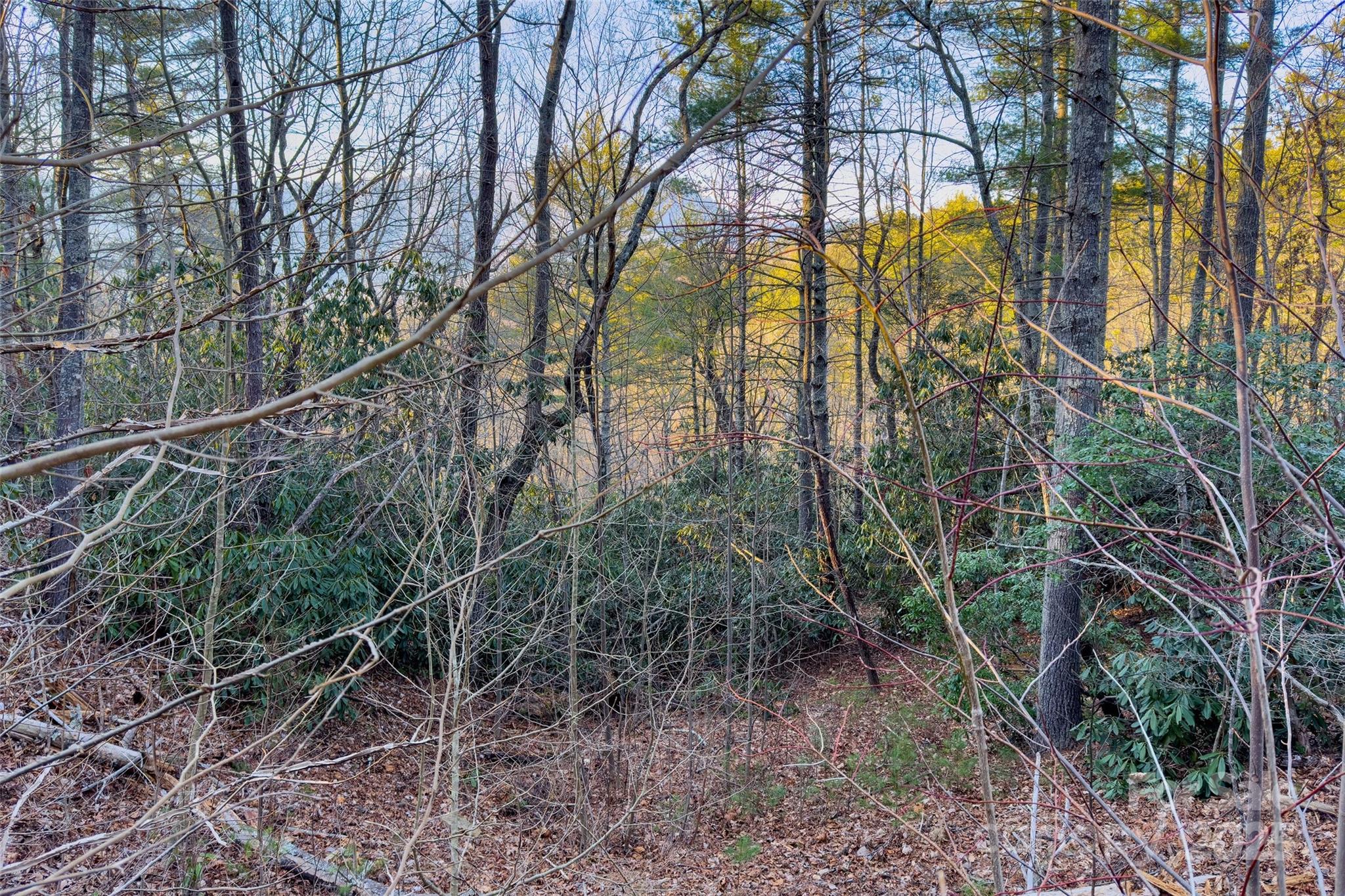 Fox Ridge - Land