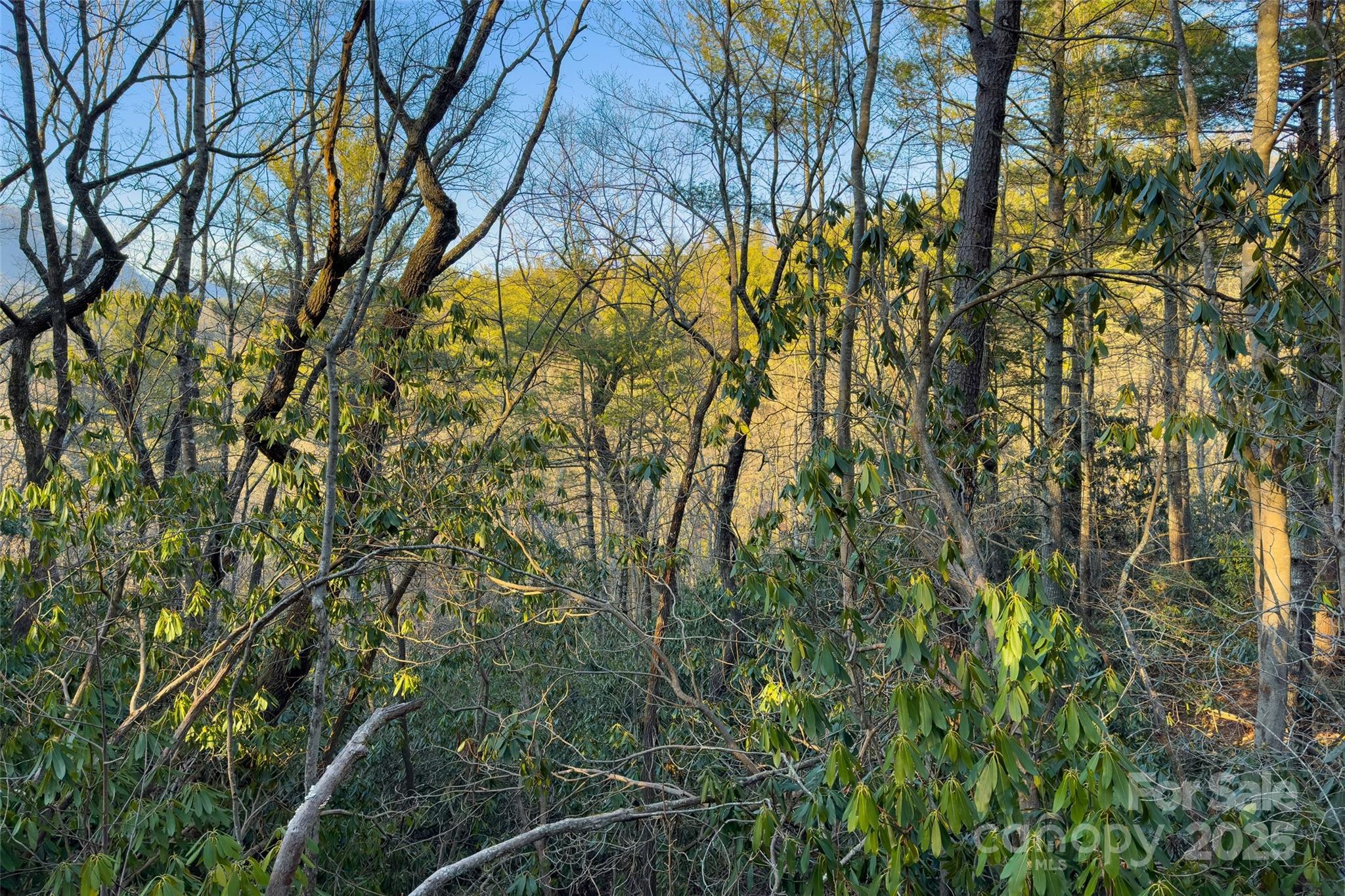 Fox Ridge - Land