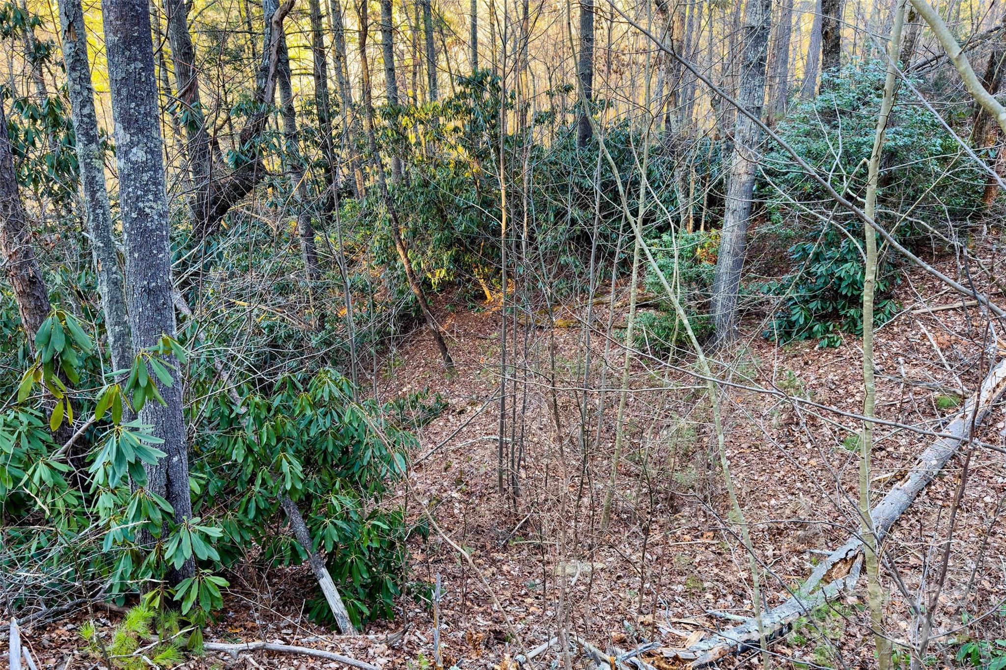 Fox Ridge - Land