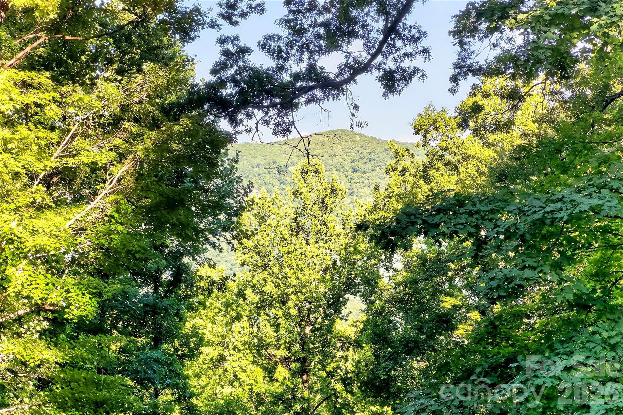 Gateway Mountain - Residential