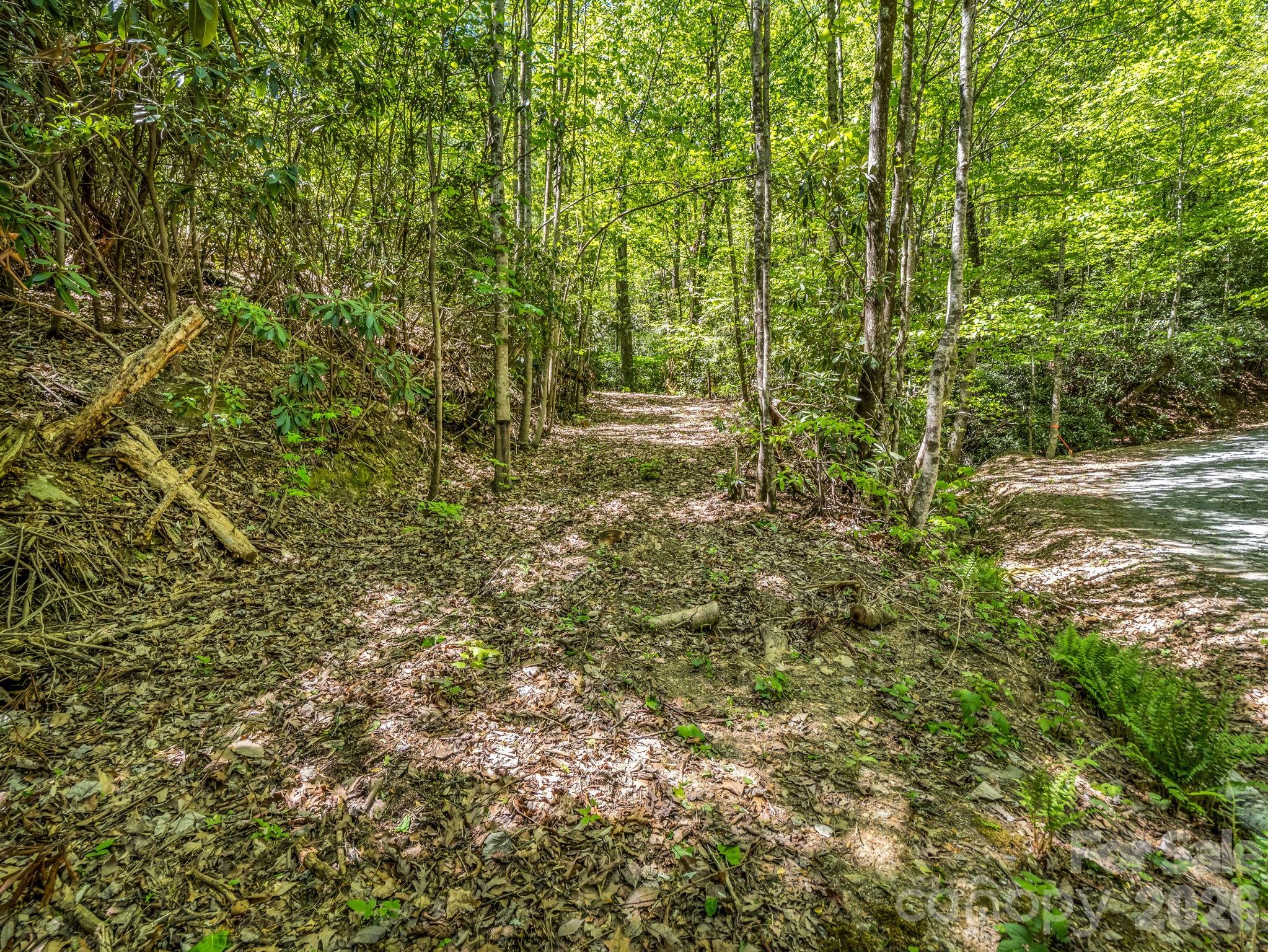 Discover the perfect setting for your mountain retreat on this private 3.5-acre double lot in the gated community of Melrose Mountain in Tryon. Ideally located across the road from the community fishing lake, this beautiful property features two natural springs and is richly wooded with native mountain laurel, rhododendron, and mature hardwoods, offering both privacy and natural charm.
With over 400 feet of road frontage along Lakeview Drive, the lot provides multiple potential building sites and the possibility of seasonal winter views of the lake. There is a driveway roughed in on lot 414, which connects to an old logging road that crosses a stream and runs almost to the back of the property.  Whether you're planning a full-time residence or a peaceful getaway, this property offers flexibility and scenic surroundings in a tranquil mountain setting.
Melrose Mountain residents enjoy access to two private lakes—a fishing lake and a swimming/paddling lake with picnic and beach area, stationary dock, and storage for canoes, paddleboards, and kayaks. The community also features a clubhouse with tennis and pickleball courts, plus miles of well-maintained private gravel roads perfect for walking and enjoying nature.
Water is provided through the community well and is included in the HOA fee. As Melrose Mountain is a gated community with restricted access, please contact an agent to schedule a private tour.