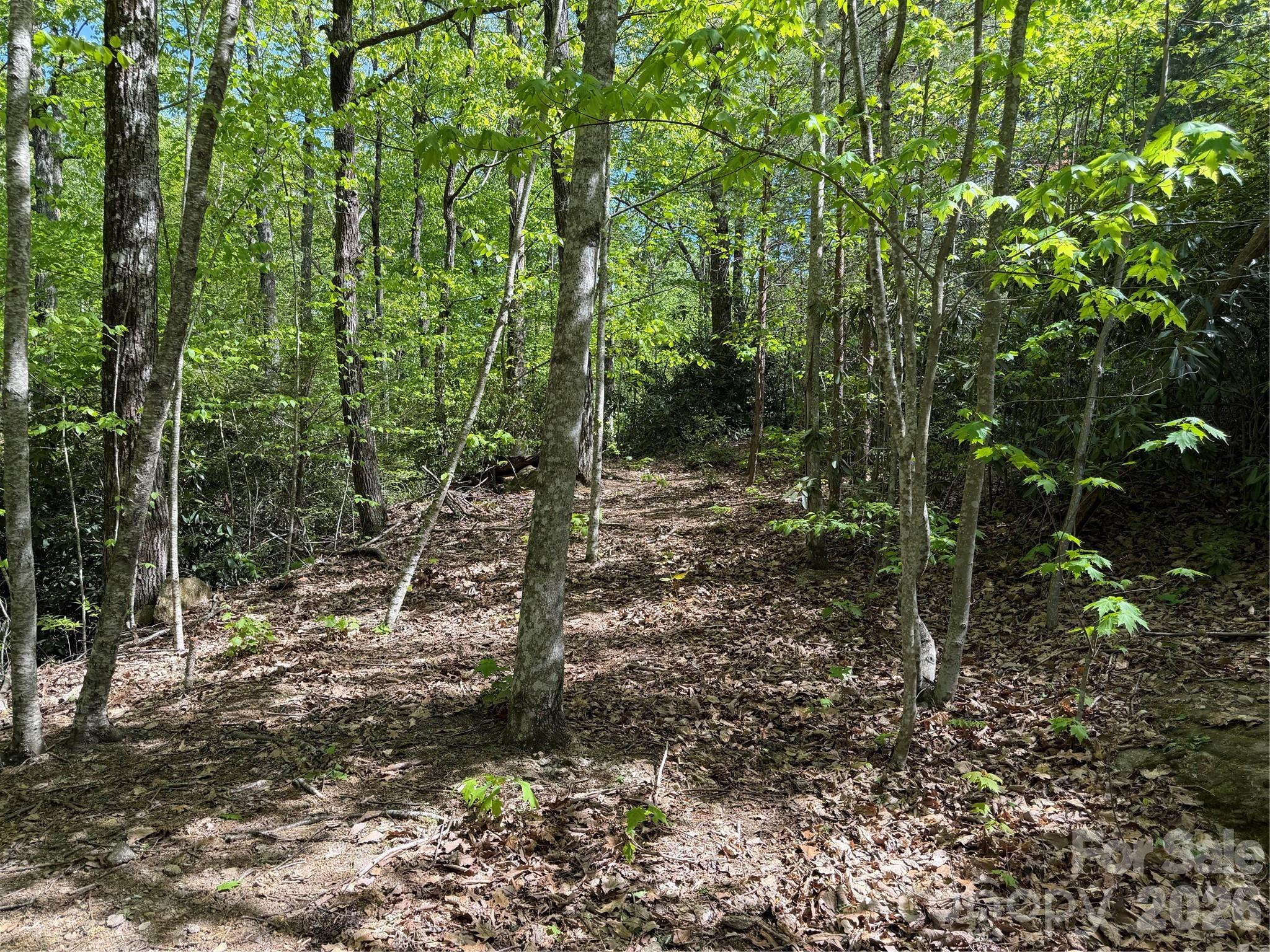 Melrose Mtn - Land