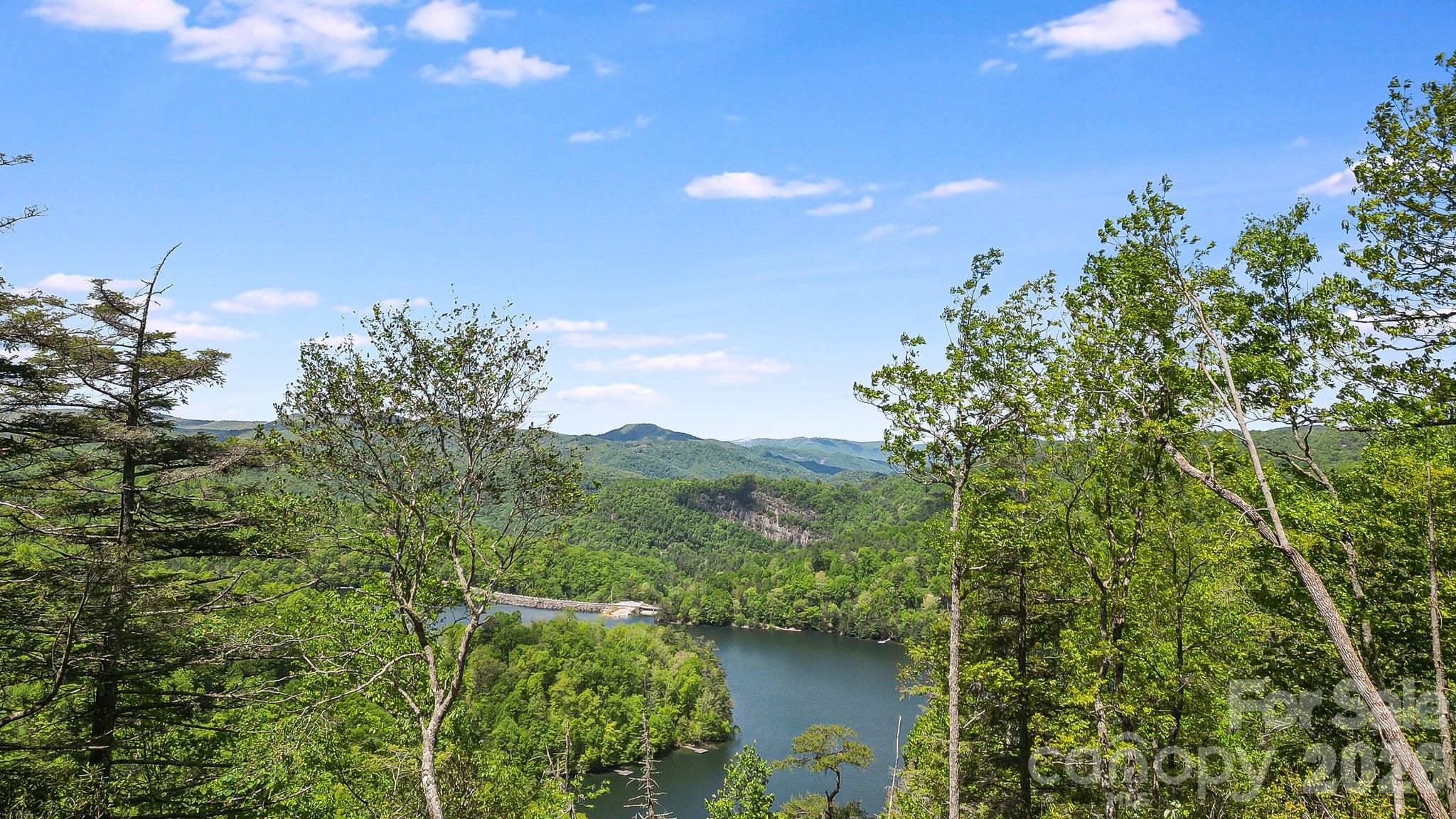 Wolf Lake - Land