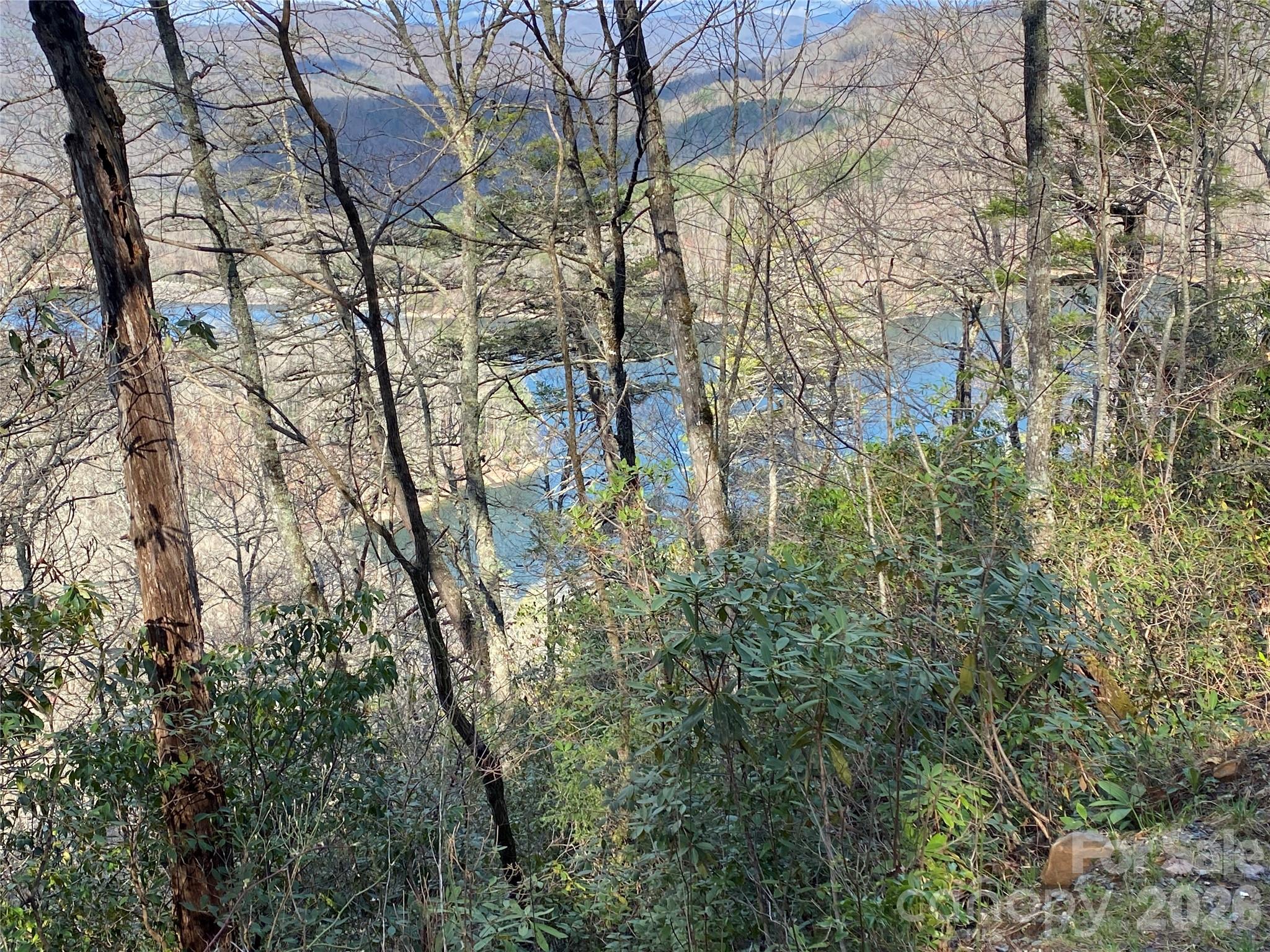 Wolf Lake - Land