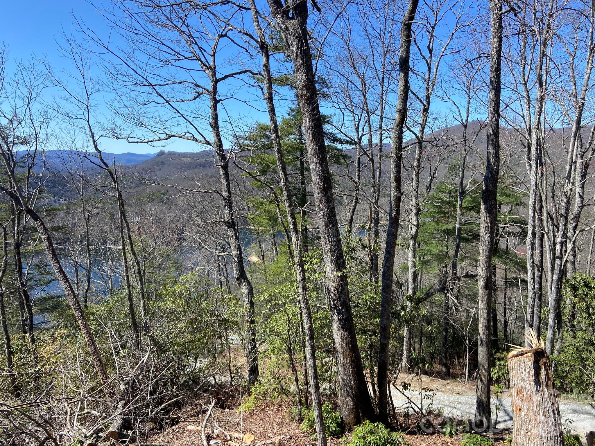 Wolf Lake - Land