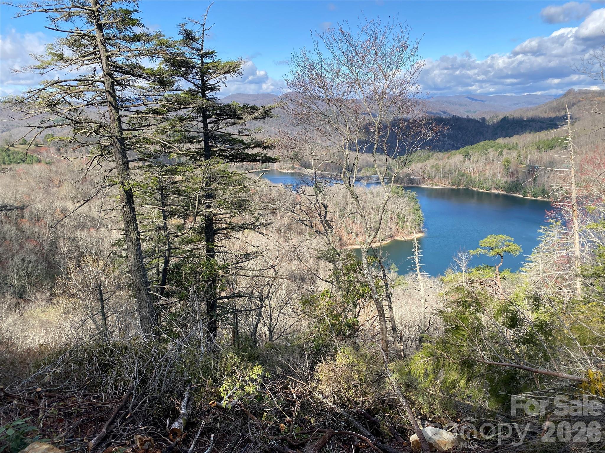 Wolf Lake - Land