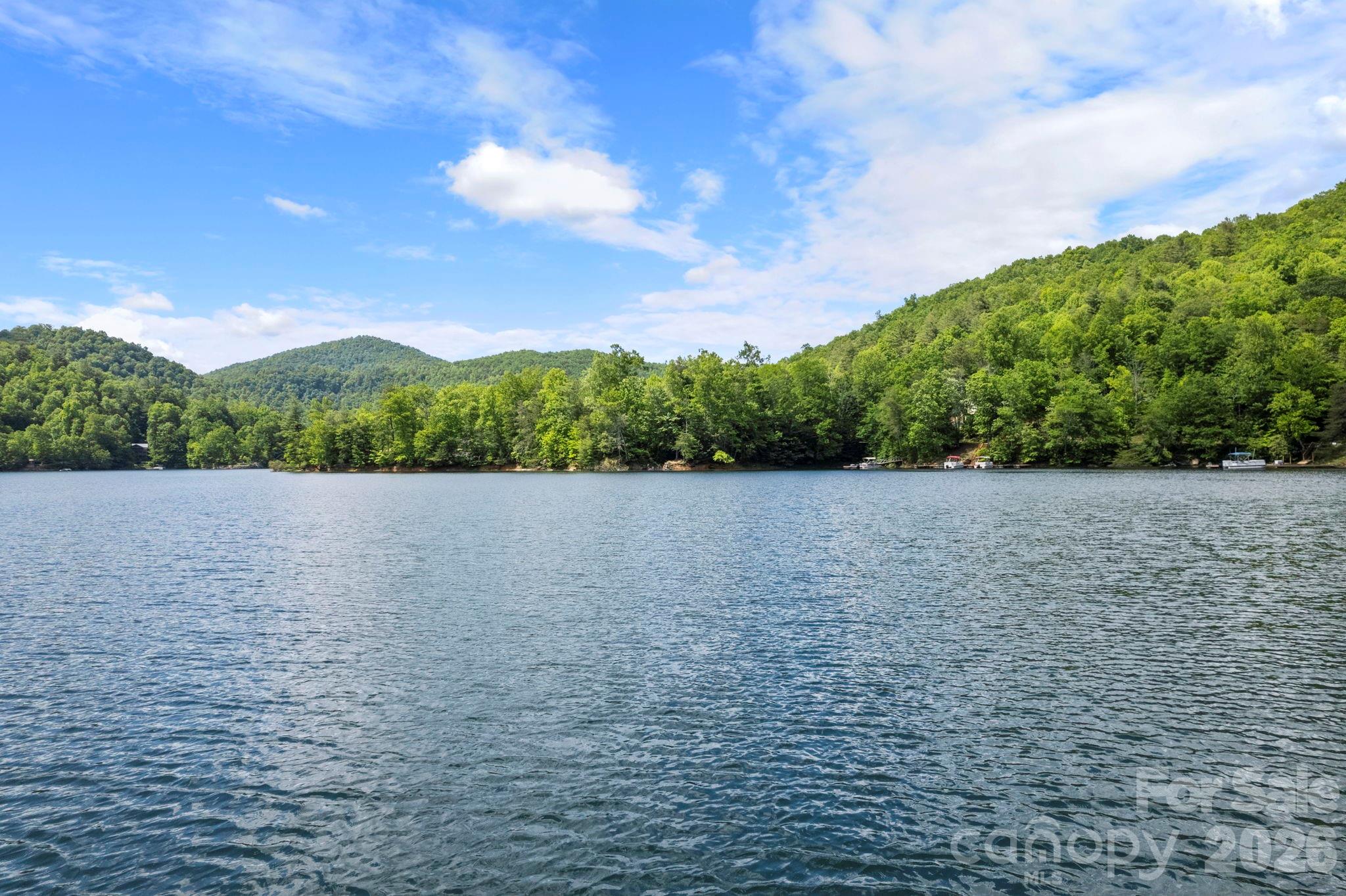 Wolf Lake - Land