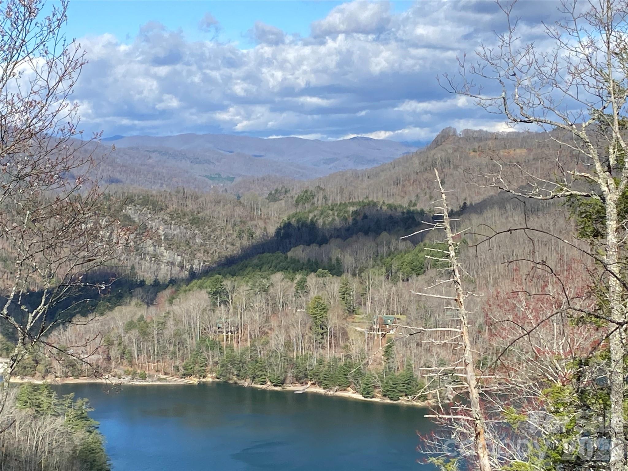 Wolf Lake - Land
