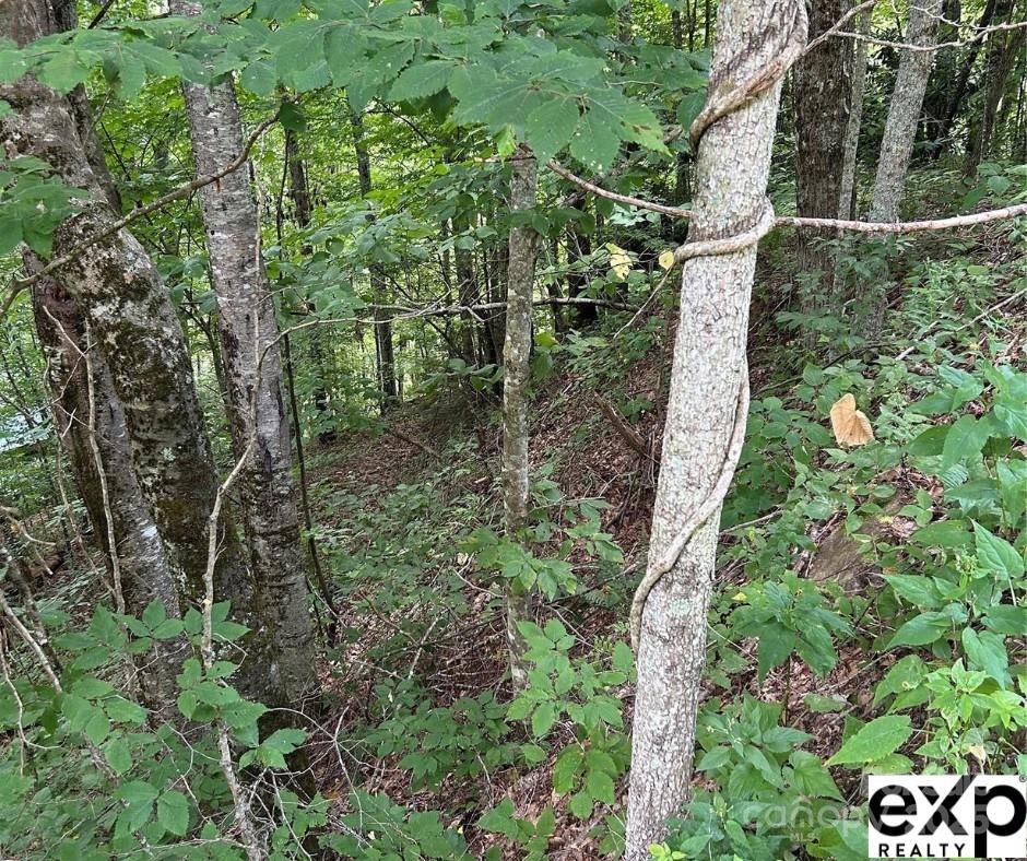 William Sutton Properties - Land