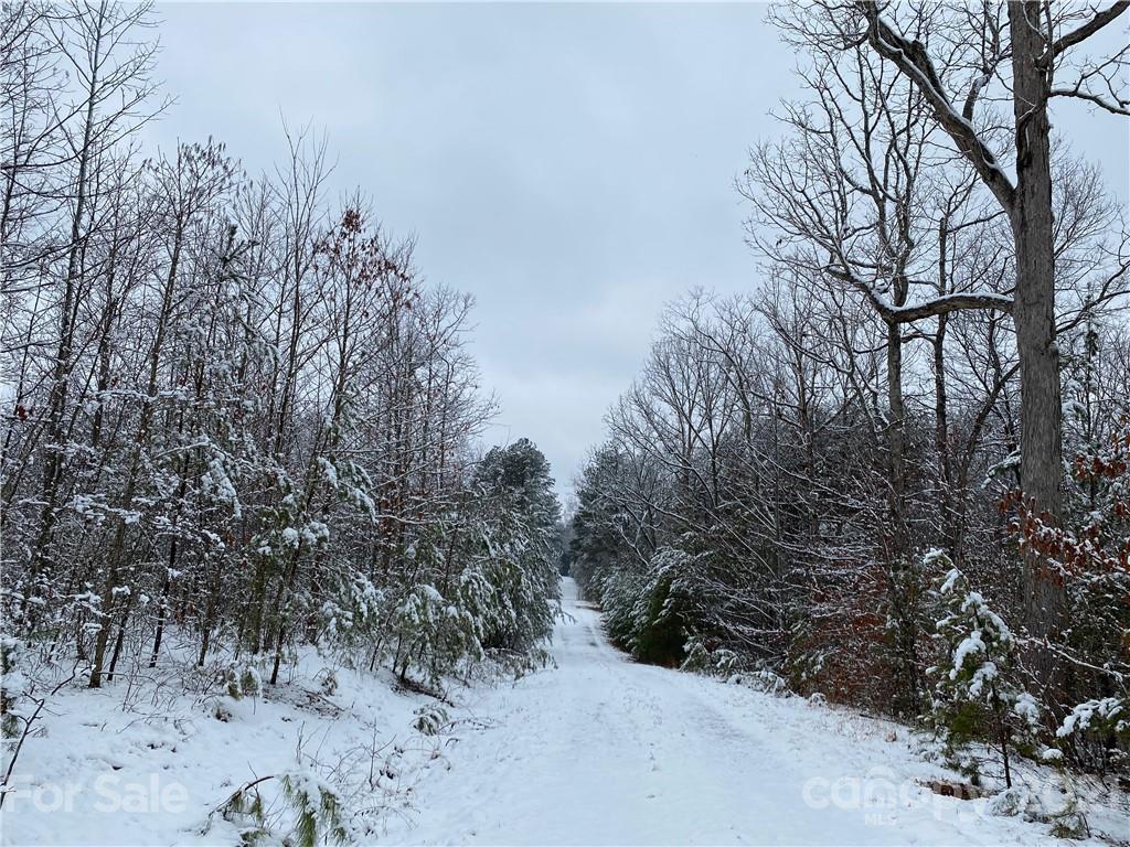 Pilots Ridge - Land