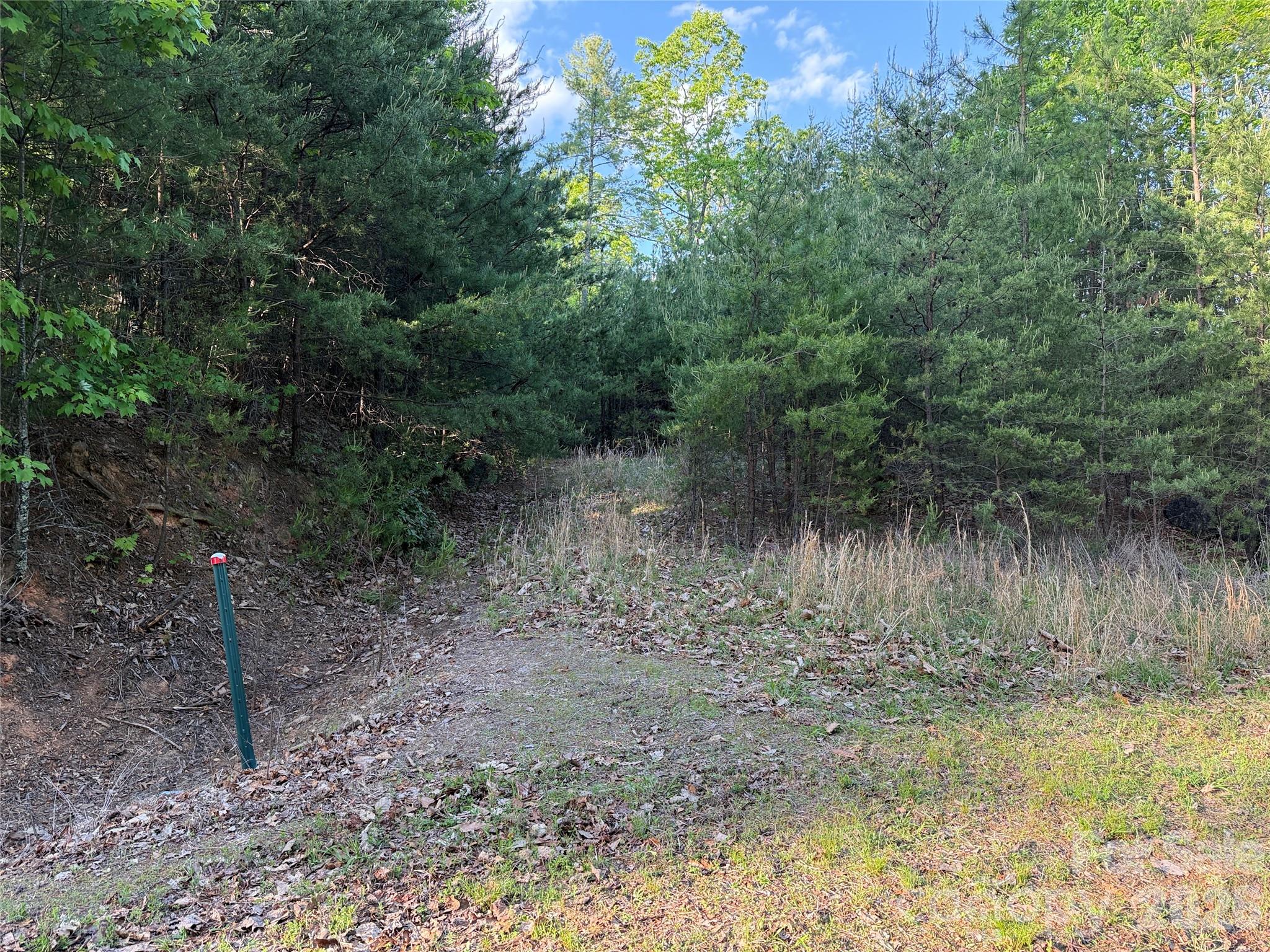 Buck Mountain - Land