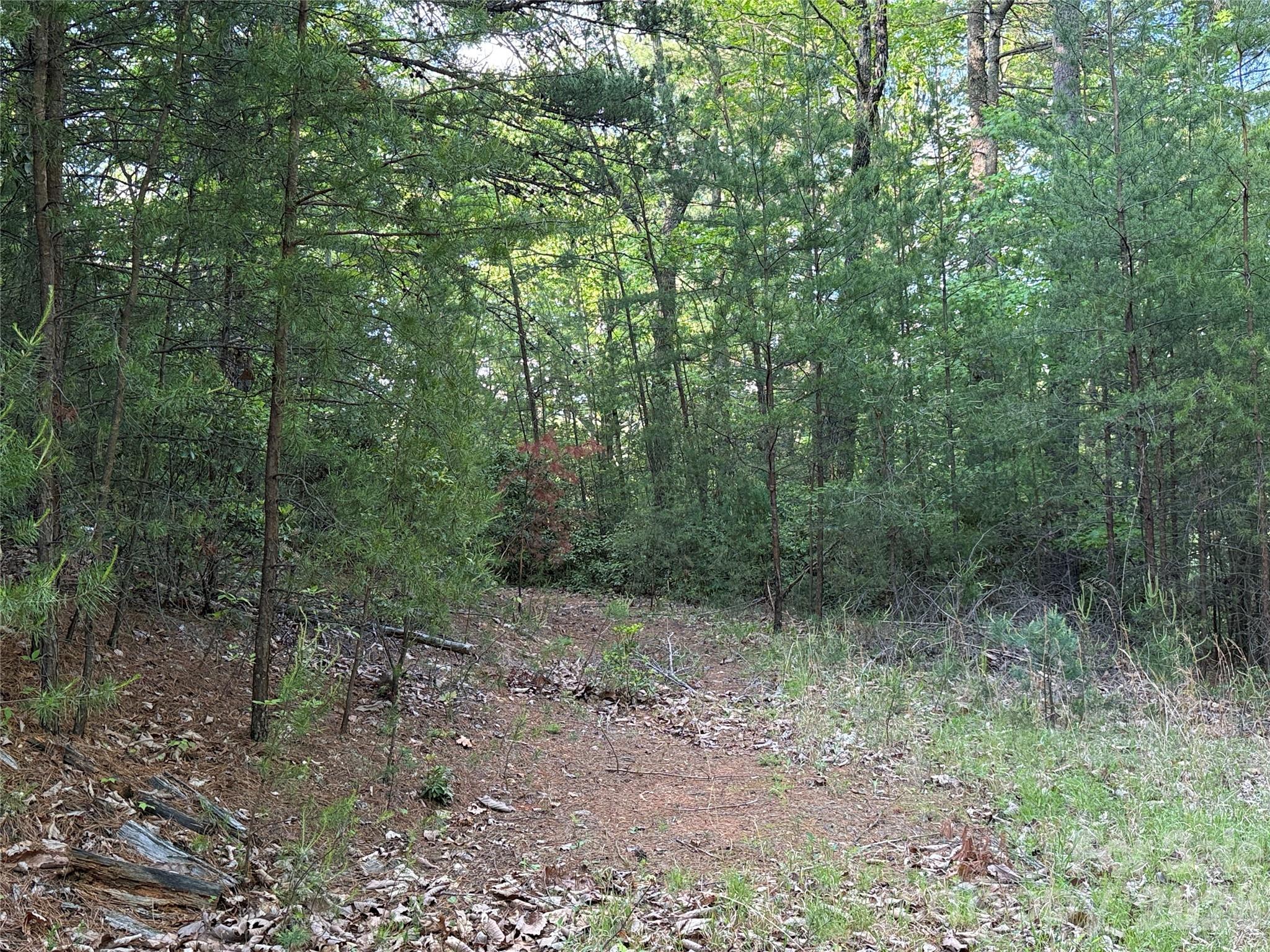 Buck Mountain - Land
