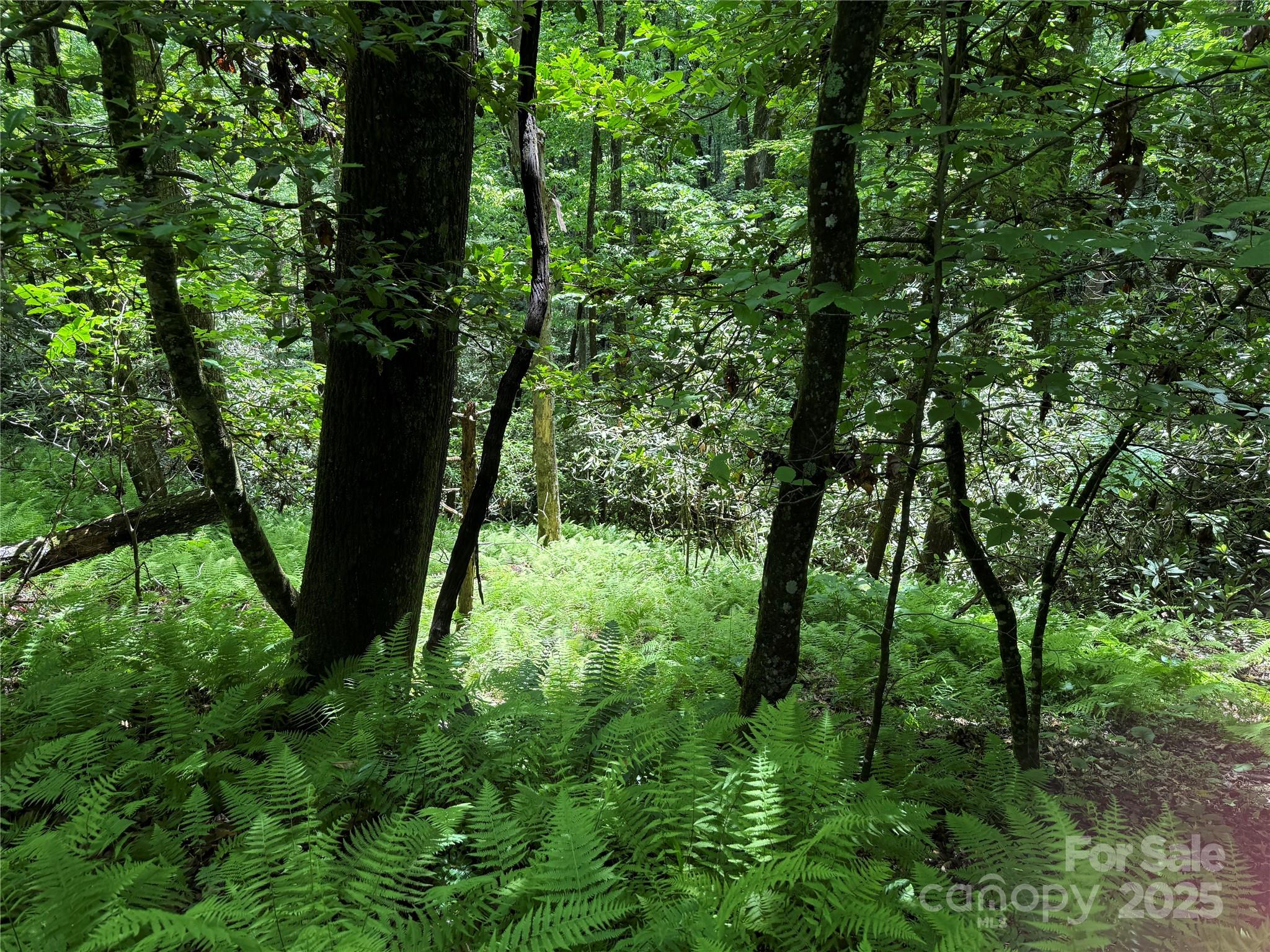 Middlemount - Land