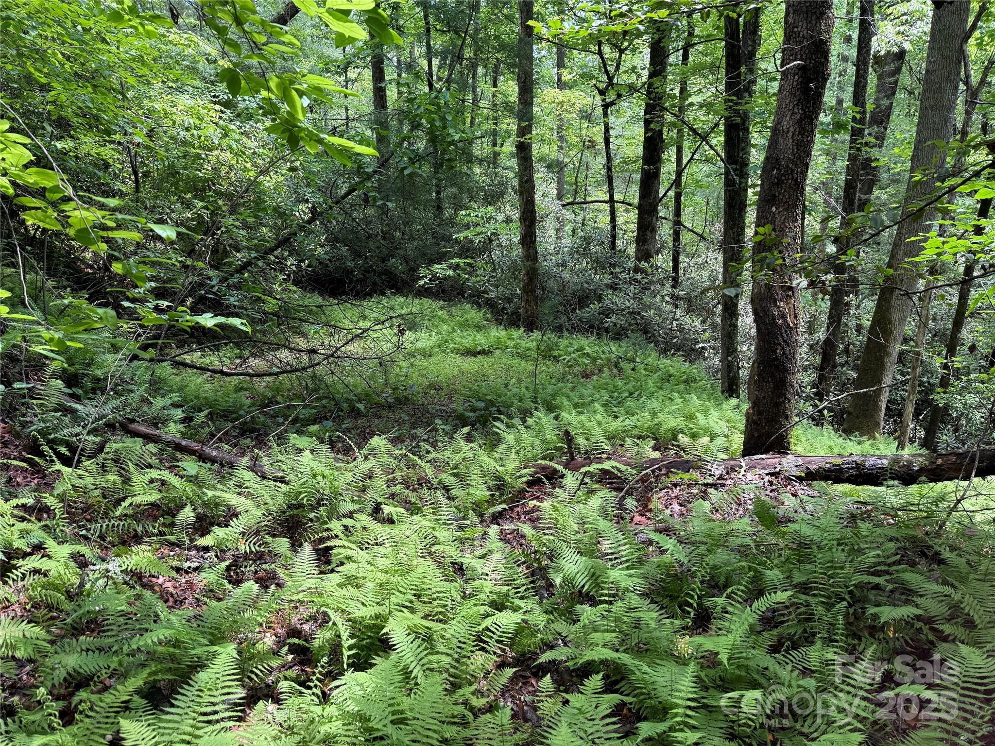 Middlemount - Land