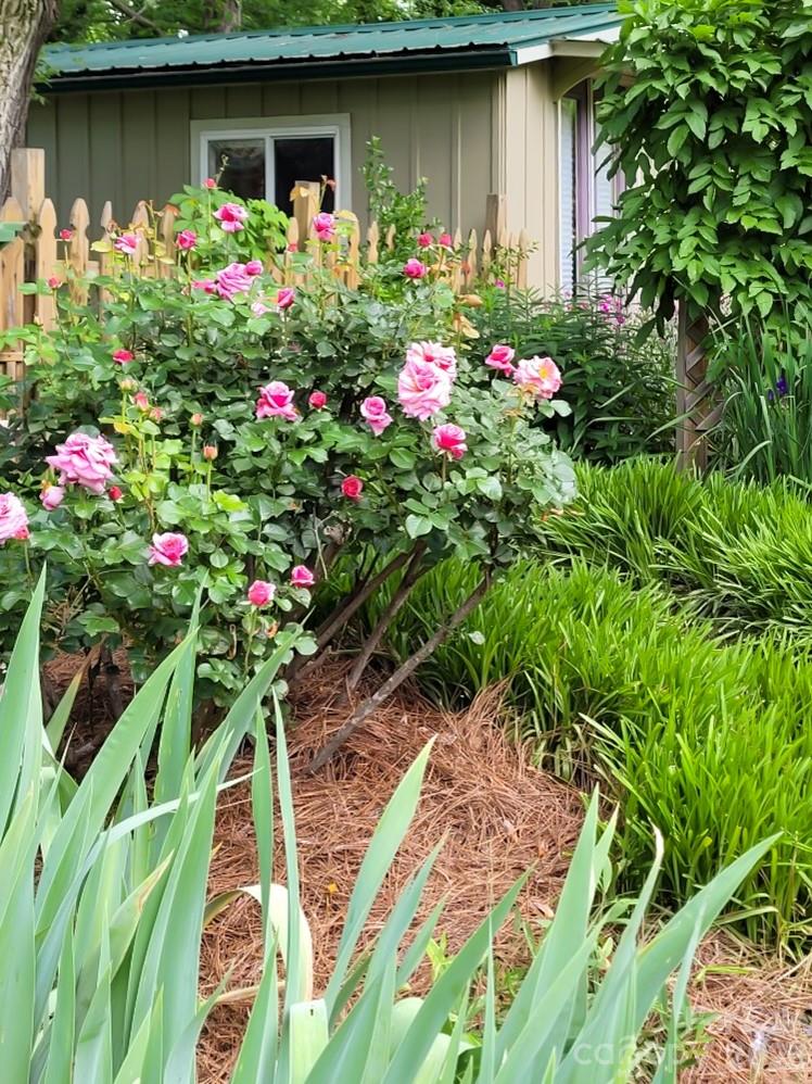 Haw Creek - Residential Income