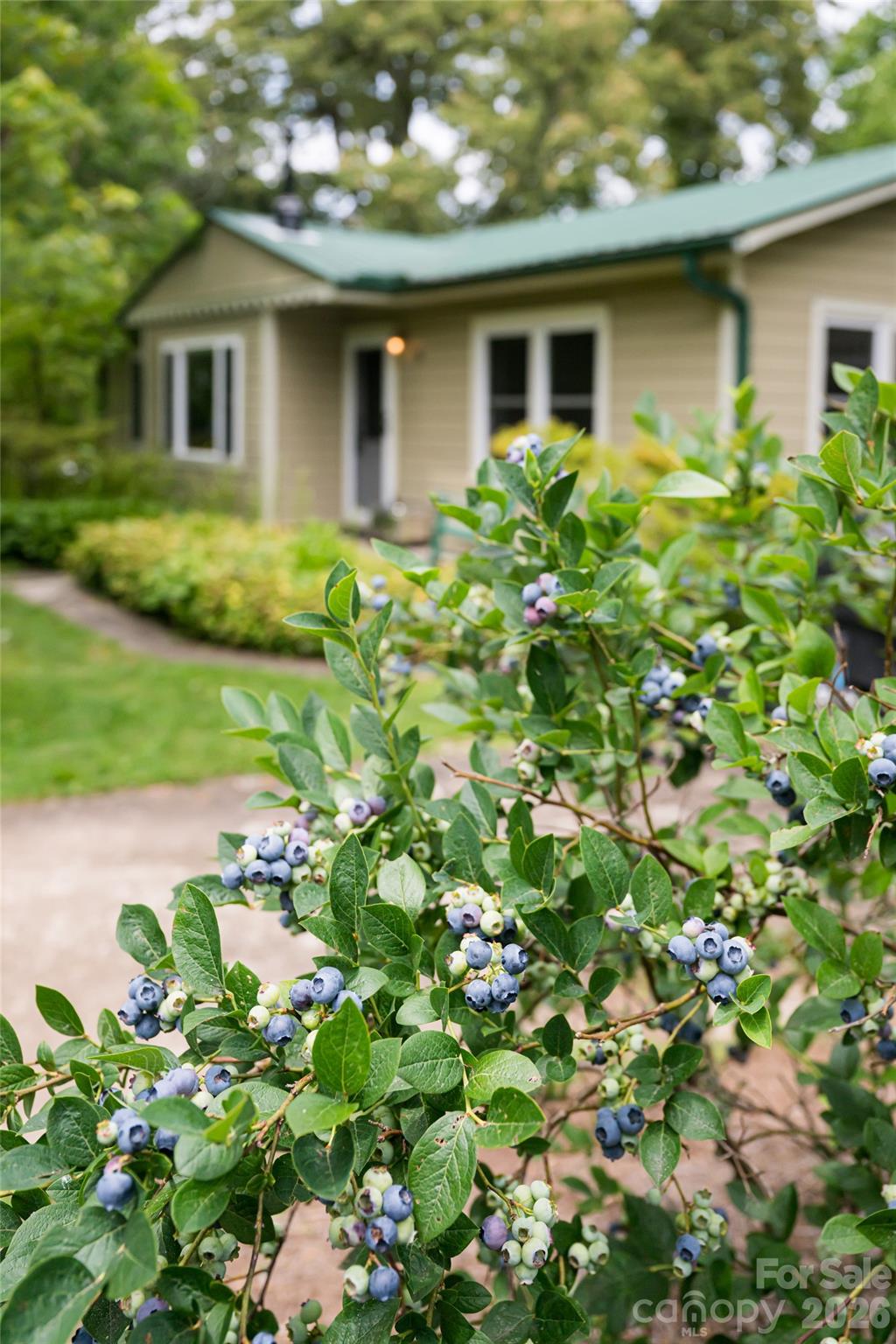 Haw Creek - Residential Income