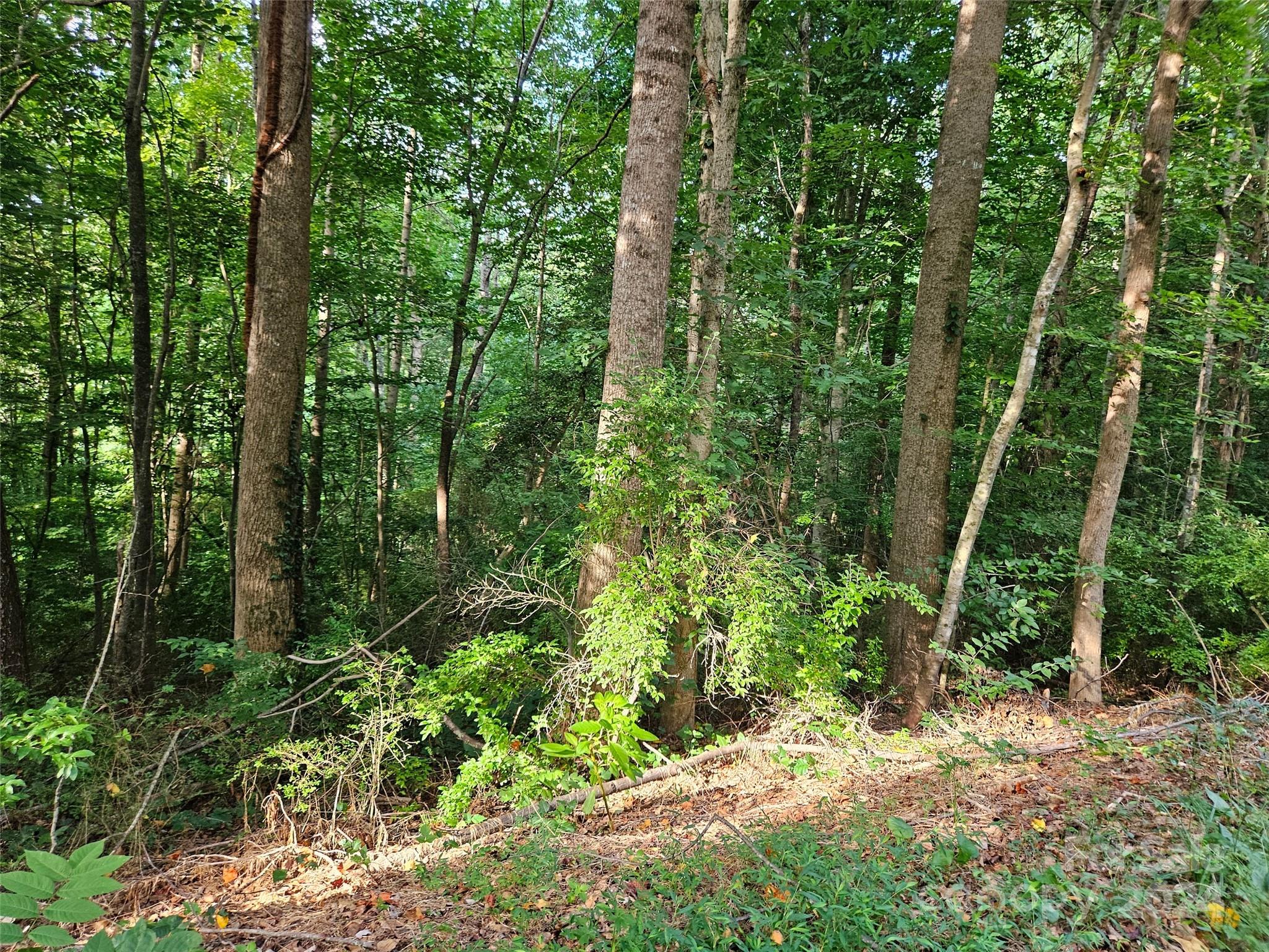 Nice building lot in Rutherford Towne subdivision just a couple of miles from downtown
Rutherfordton, NC. 2.5 miles to local hospital, 10 miles to Tryon International, 25 miles to Lake
Lure. Enjoy upscale living and peaceful country living close to major roads and amenities.