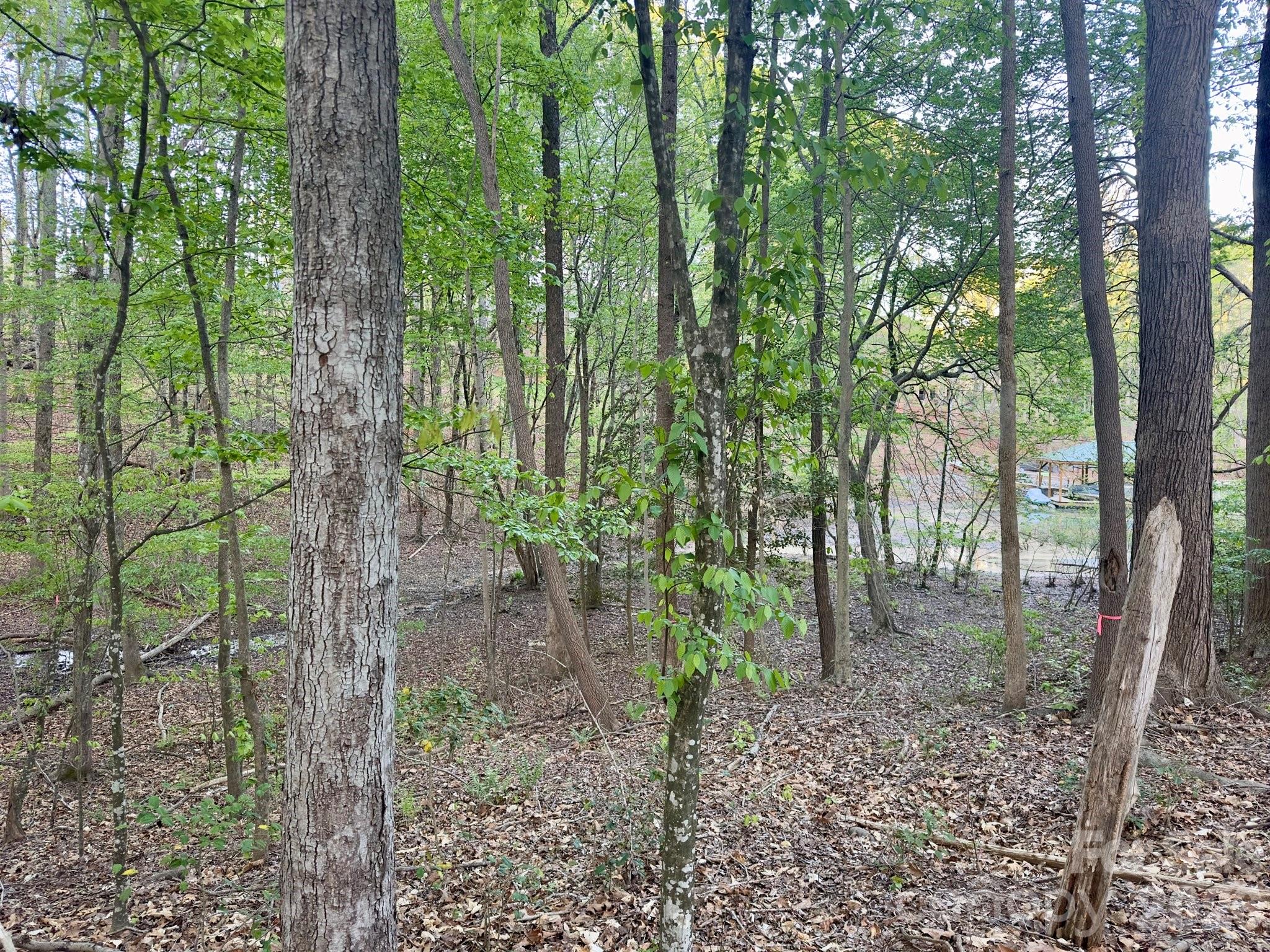 Lakewood - Land