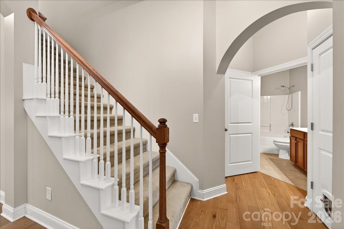 Bailey Springs - Residential