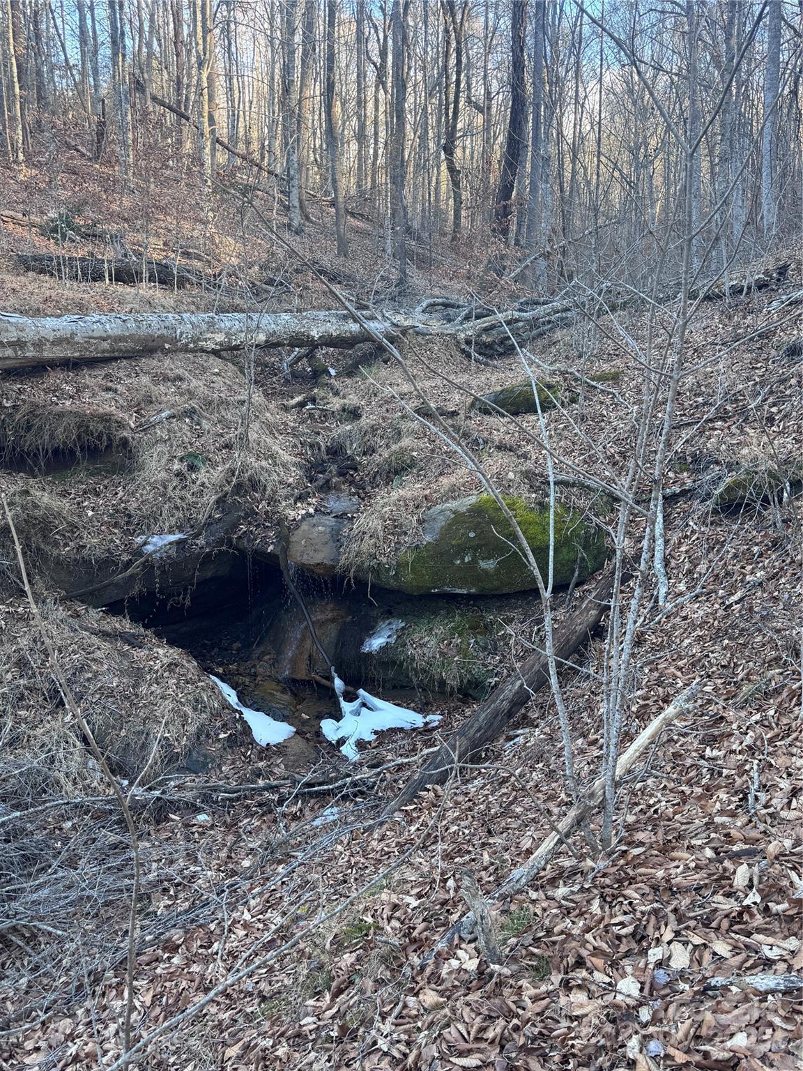 Clearwater Creek - Land