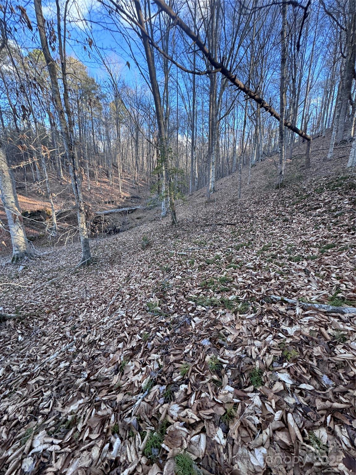 Clearwater Creek - Land