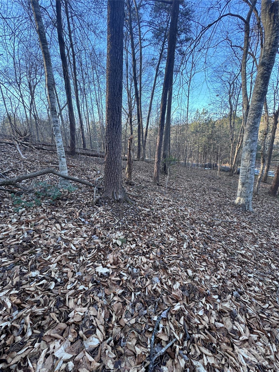 Clearwater Creek - Land