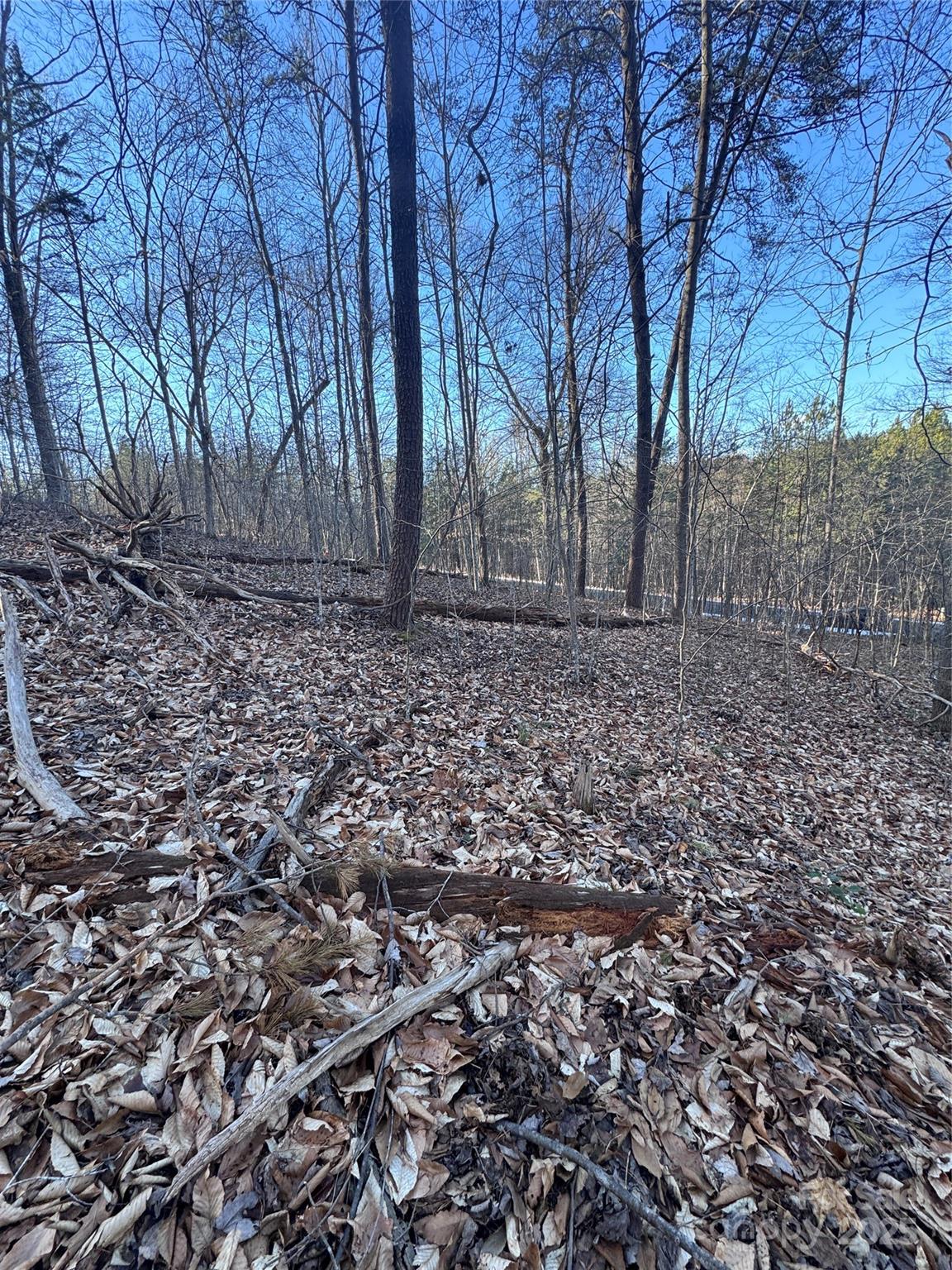 Clearwater Creek - Land