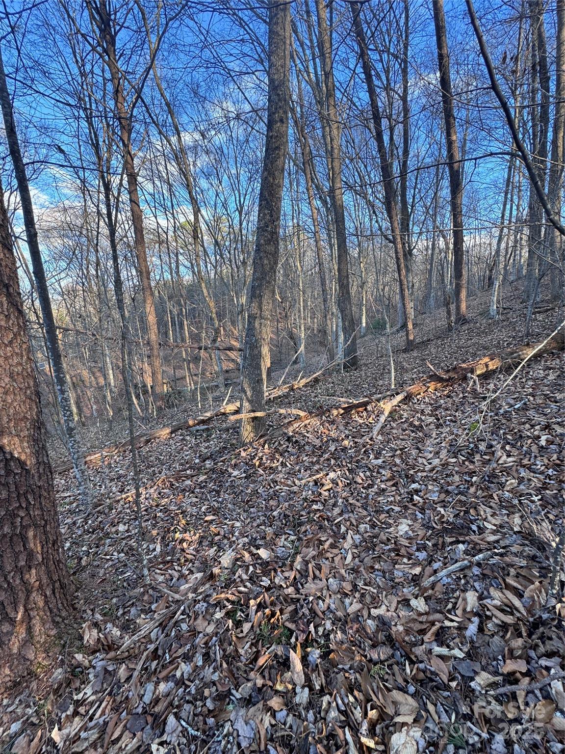 Clearwater Creek - Land