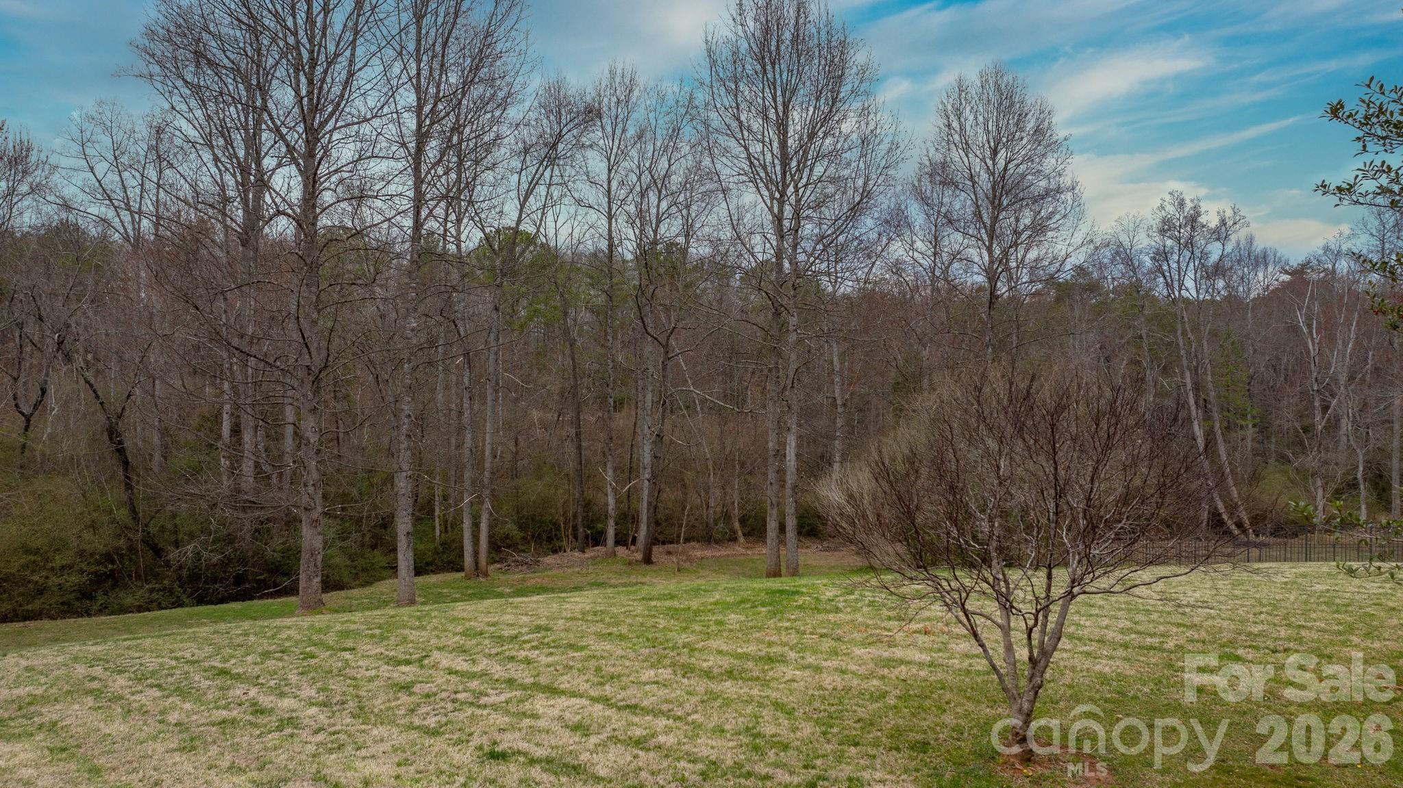 Wittenburg Springs - Residential