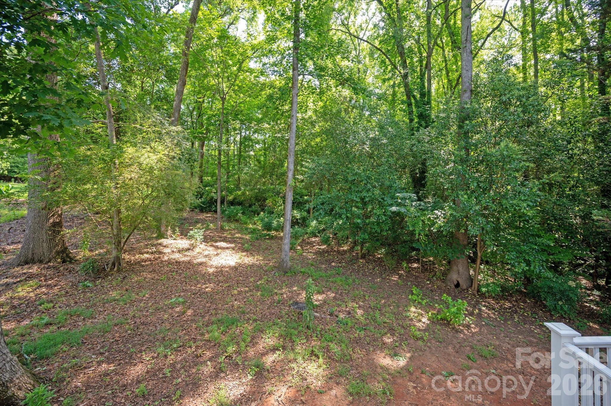Steeplechase - Residential