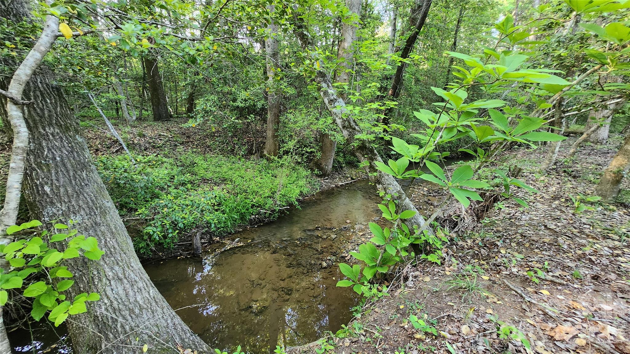 Holman Ridge - Land