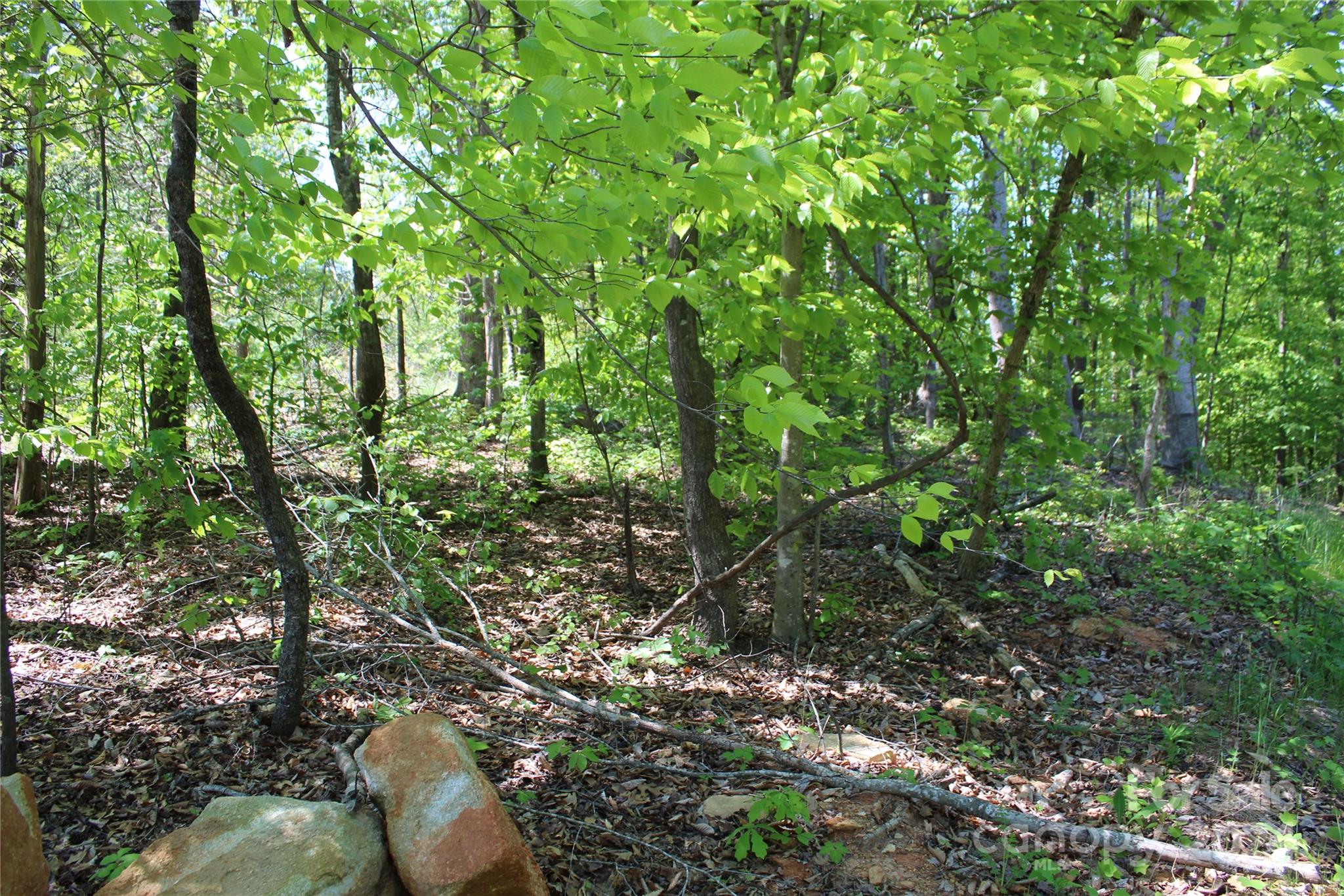 Jeff Davis - Land