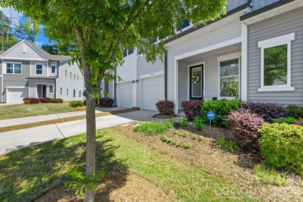 Fifteen 15 Cannon - Residential