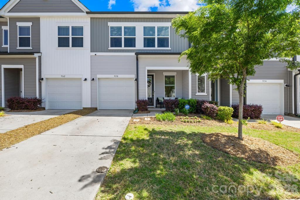 Fifteen 15 Cannon - Residential