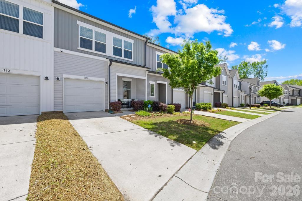 Fifteen 15 Cannon - Residential