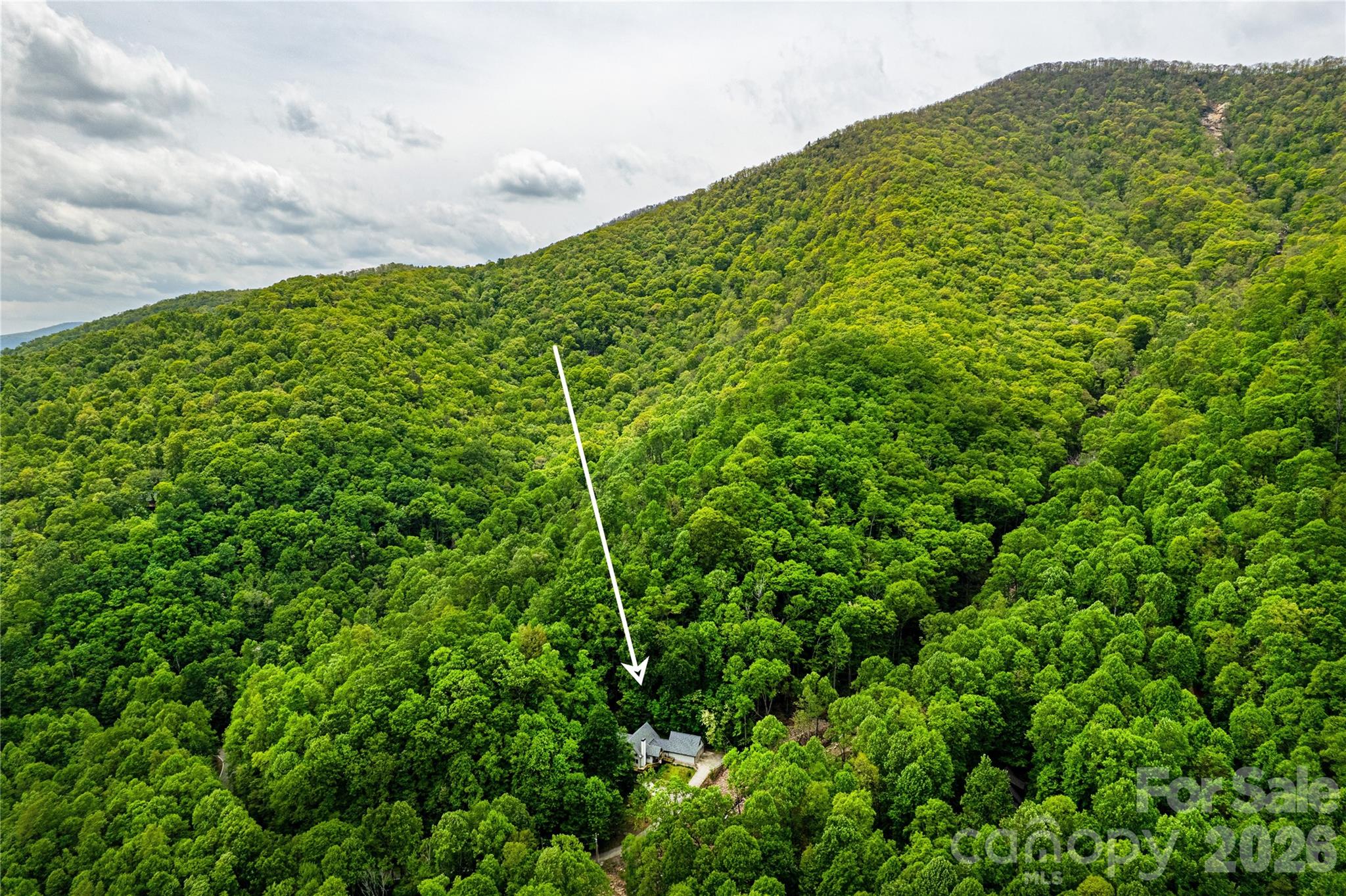 Laurel Ridge - Residential