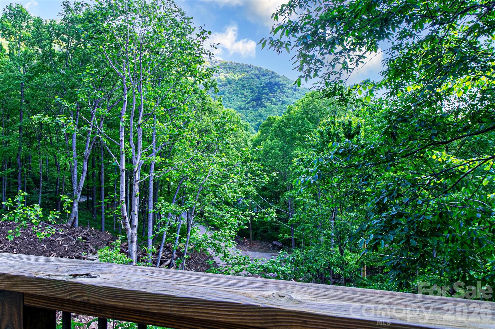 Opportunity knocks! Now priced more than $100,000 below tax value! Gorgeous, immaculate, 4,912 sq ft timberframe home with 1/1 basement apt and year-round mountain views in prestigious Laurel Ridge offers incredible value for the money! Great for multigenerational living or a 2-unit rental for the savvy investor. The 2,161 sq ft main level's sunny living room has a heat-producing fireplace, adjoining deck, vaulted ceiling, and multiple windows bringing the outdoors inside. Kitchen offers hickory cabinets, walk-in pantry, island with a Zodiac heat-resistant quartz countertop, adjacent screened room, and space for a formal dining set. The ensuite primary bedroom on the main level has its own bath and walk-in closet. On the other side of the main level is another full bath, laundry room, 2-car garage with workshop space, and a family room over the garage. The 1,333 sq ft upper floor has another ensuite bedroom/bath and loft that overlooks the living room and outside. The 1.26-acre lot backs up to 200 acres of conservancy land. Abundant storage and generator, too! See this lovely, meticulously cared for home today!