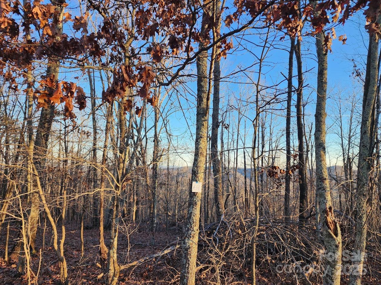 The Summit - Land