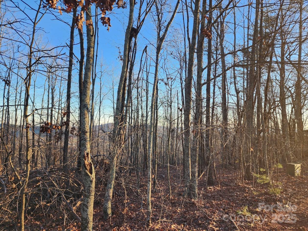 The Summit - Land