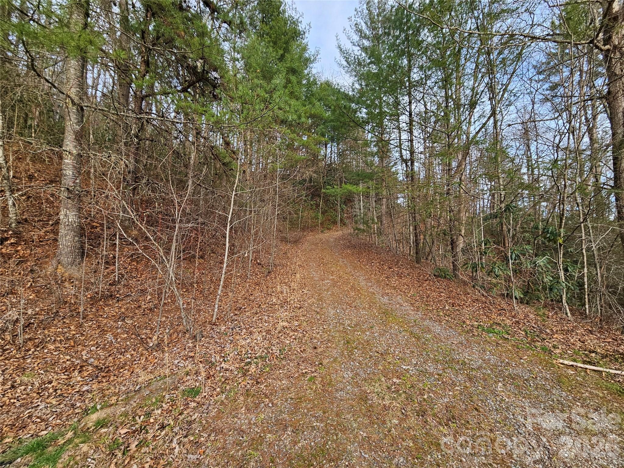 Twin Oaks Estate - Land