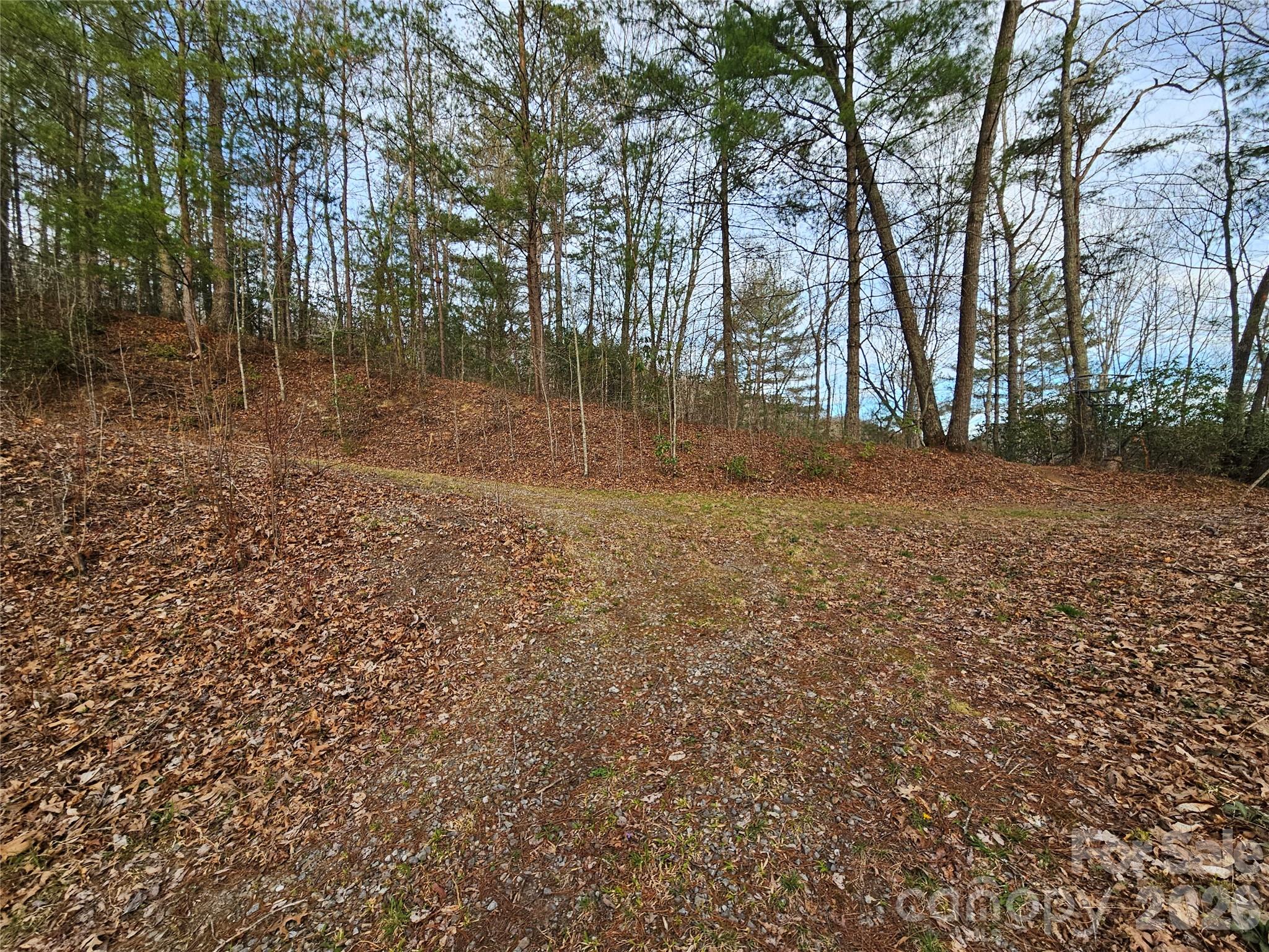 Twin Oaks Estate - Land