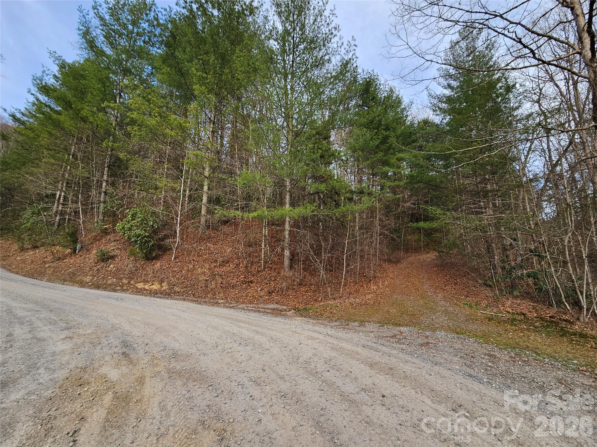 Twin Oaks Estate - Land