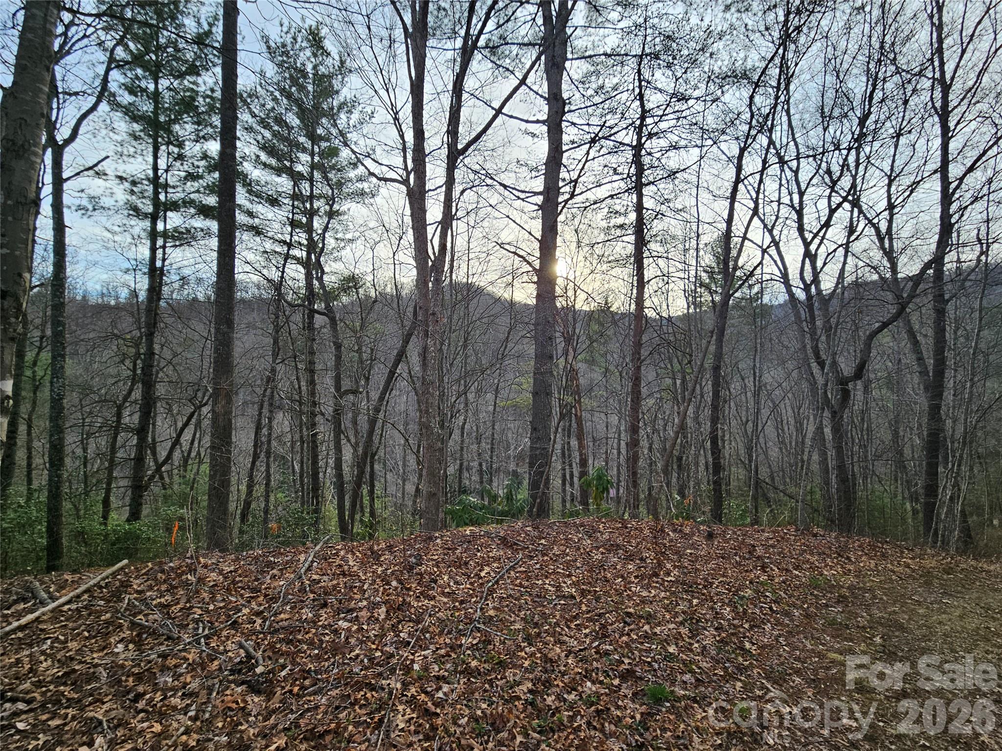 Twin Oaks Estate - Land