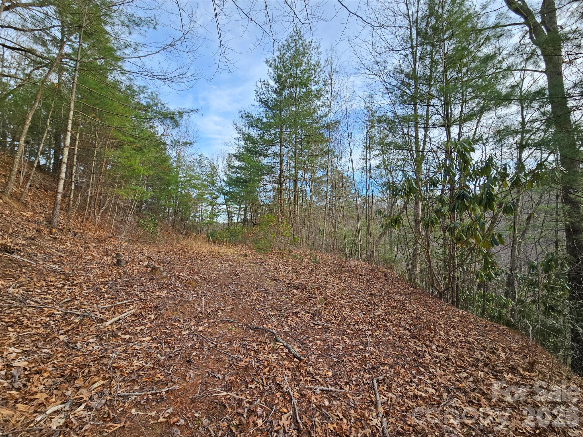 Located in the peaceful setting of Twin Oaks Estates, this 2.17-acre parcel offers the perfect opportunity to create your ideal mountain retreat or primary residence. A roughed-in driveway and smaller prepped house pad are already in place, giving you a head start on bringing your vision to life. Enjoy the balance of privacy and natural mountain beauty in this serene setting. The property is conveniently located near the charming towns of Maggie Valley, Waynesville, and Asheville, with easy access via I-40 or Jonathan Creek Road, keeping dining, shopping, and outdoor adventures within reach. With modular homes and rental opportunities allowed, this property offers incredible flexibility - whether you're looking to build a full-time home, vacation getaway, or investment property. Don’t miss your chance to own a slice of mountain serenity, schedule your private showing today!