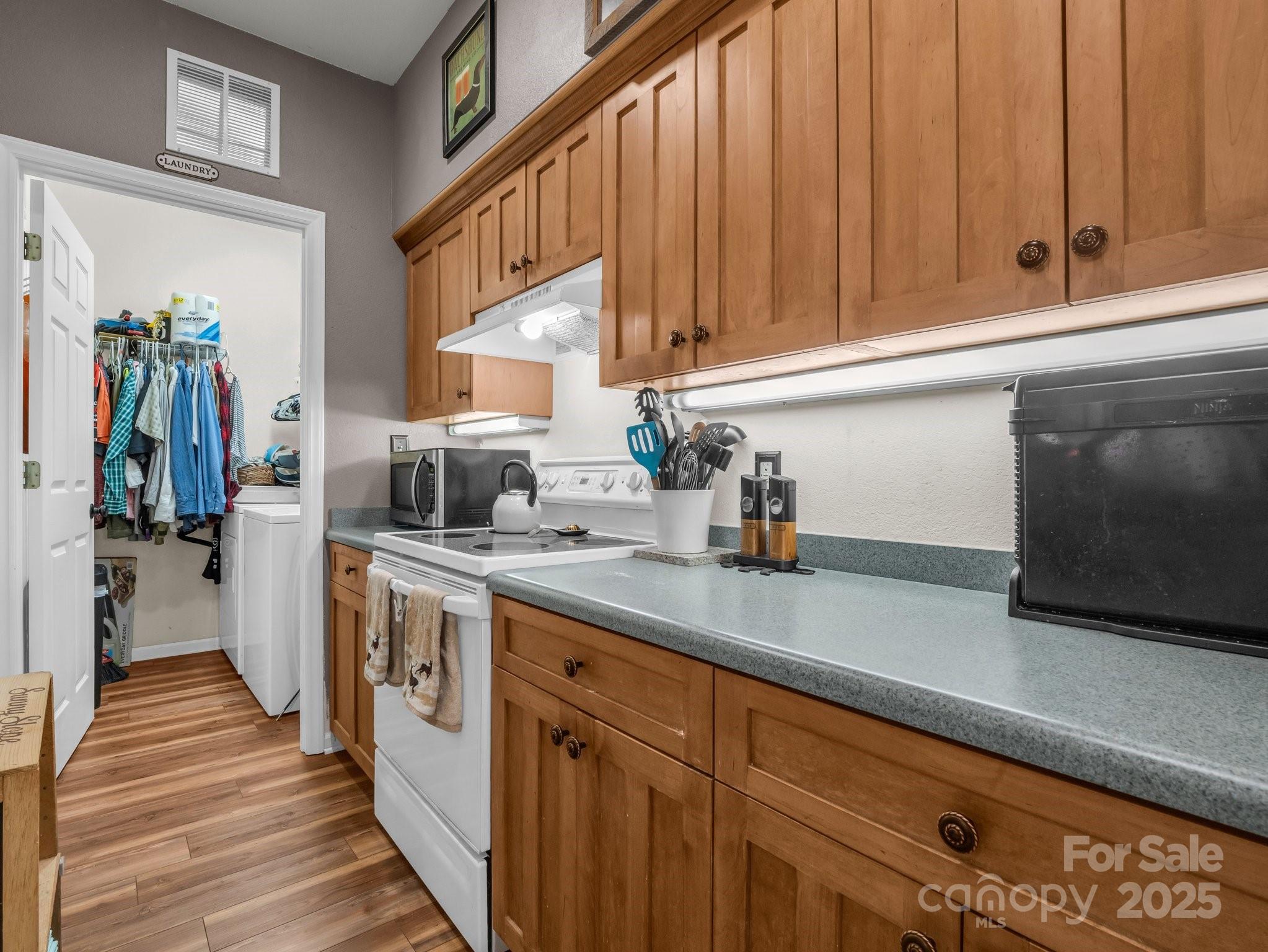 Rumbling Bald on Lake Lure - Residential