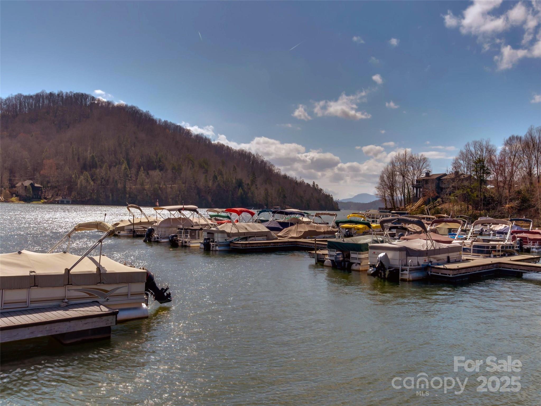 Rumbling Bald on Lake Lure - Residential