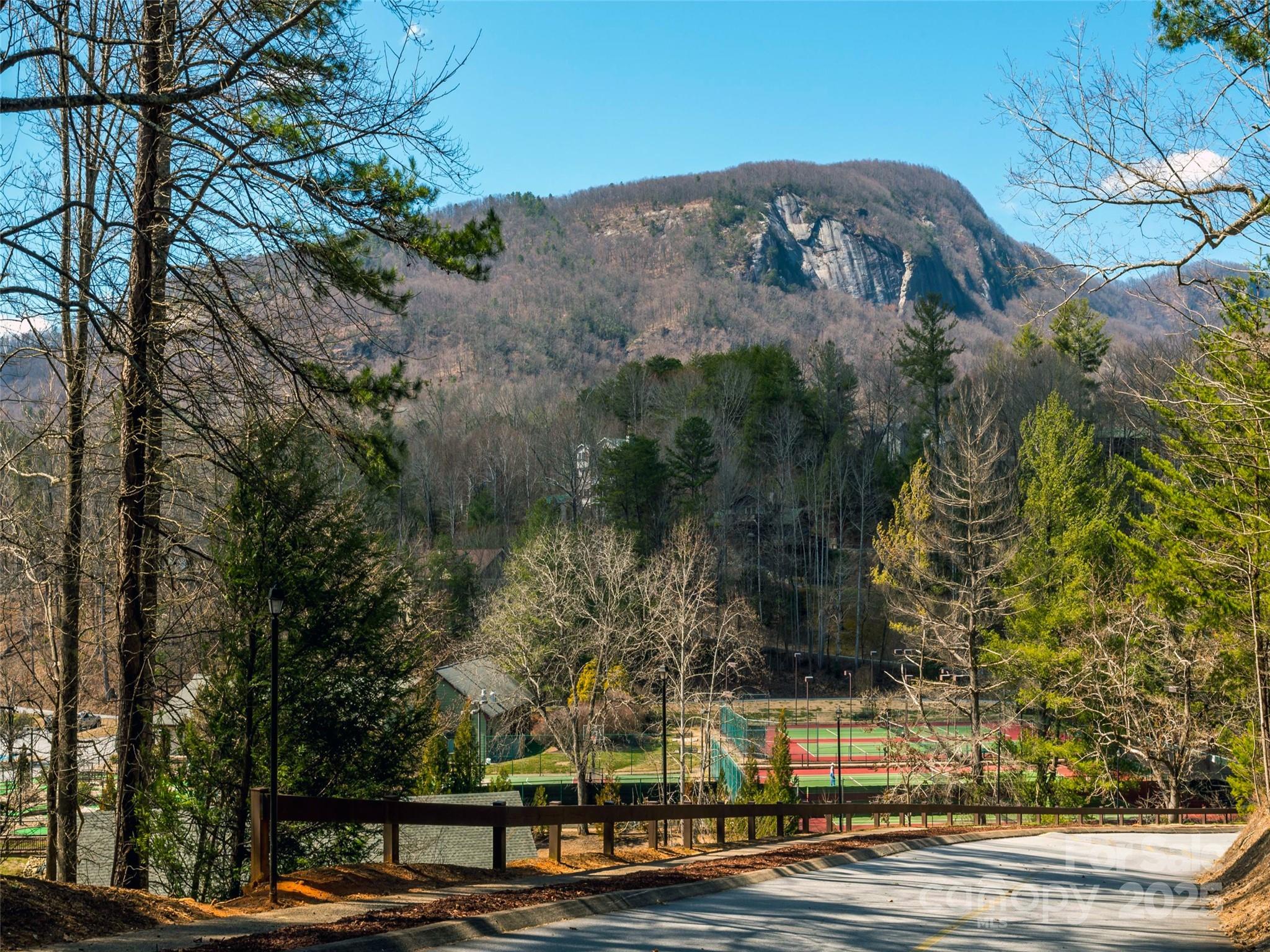 Rumbling Bald on Lake Lure - Residential