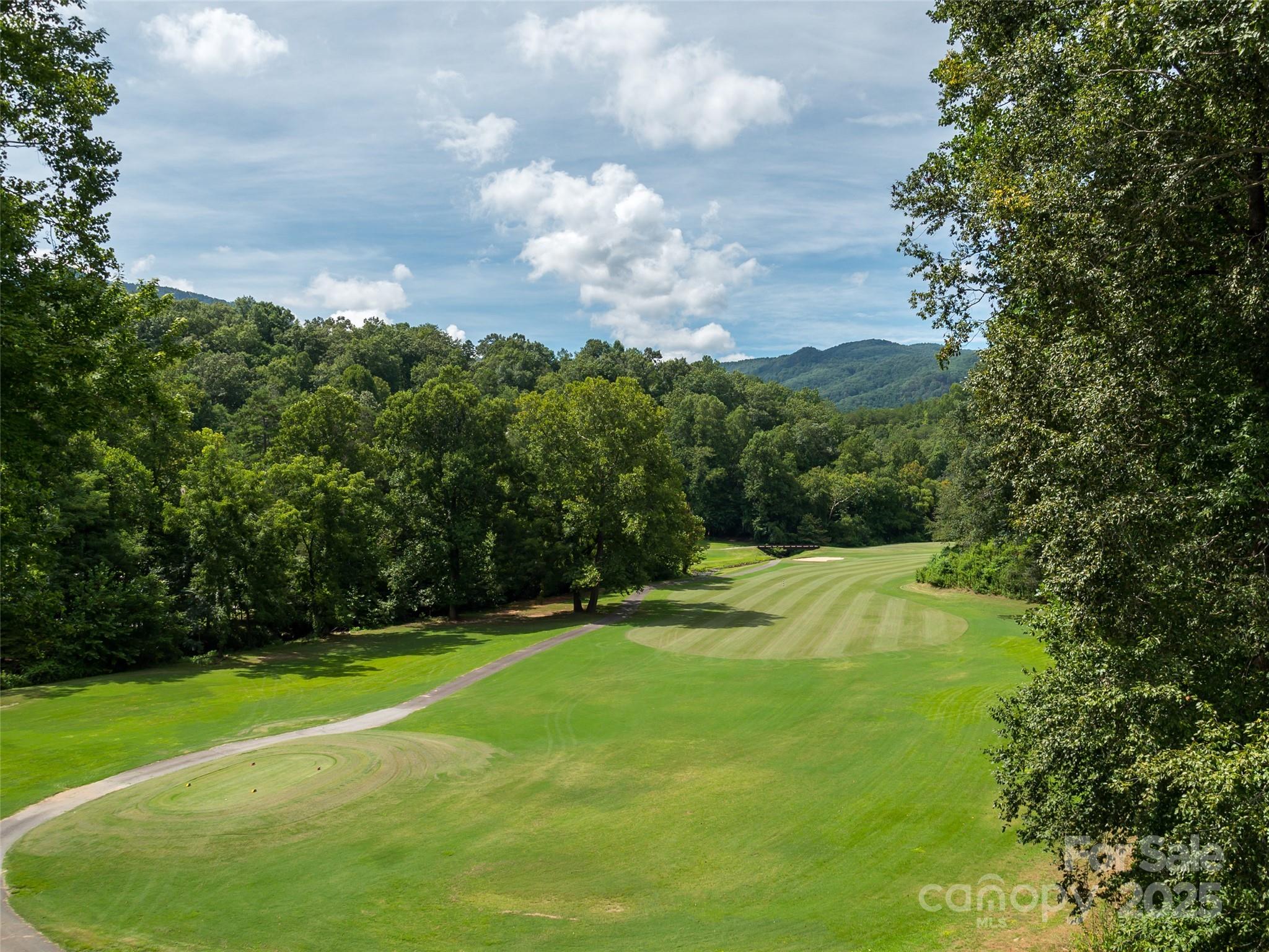 Rumbling Bald on Lake Lure - Residential